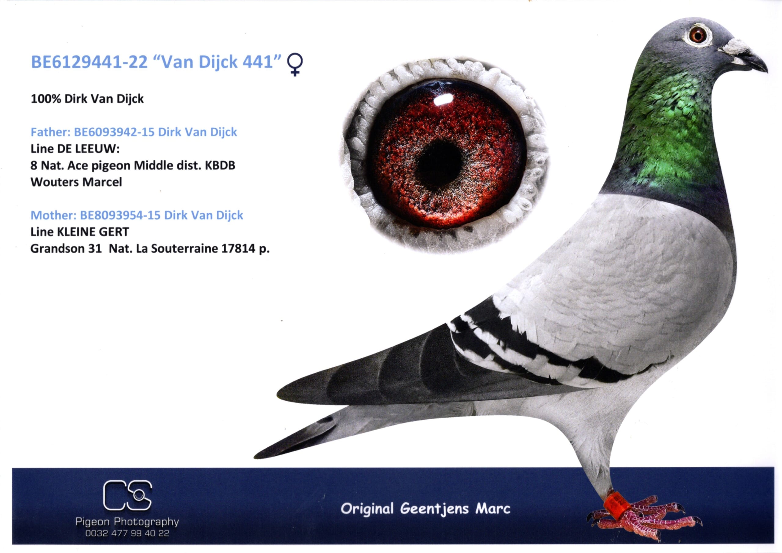 ジェンチェンス BE 6129441-22 売切れ