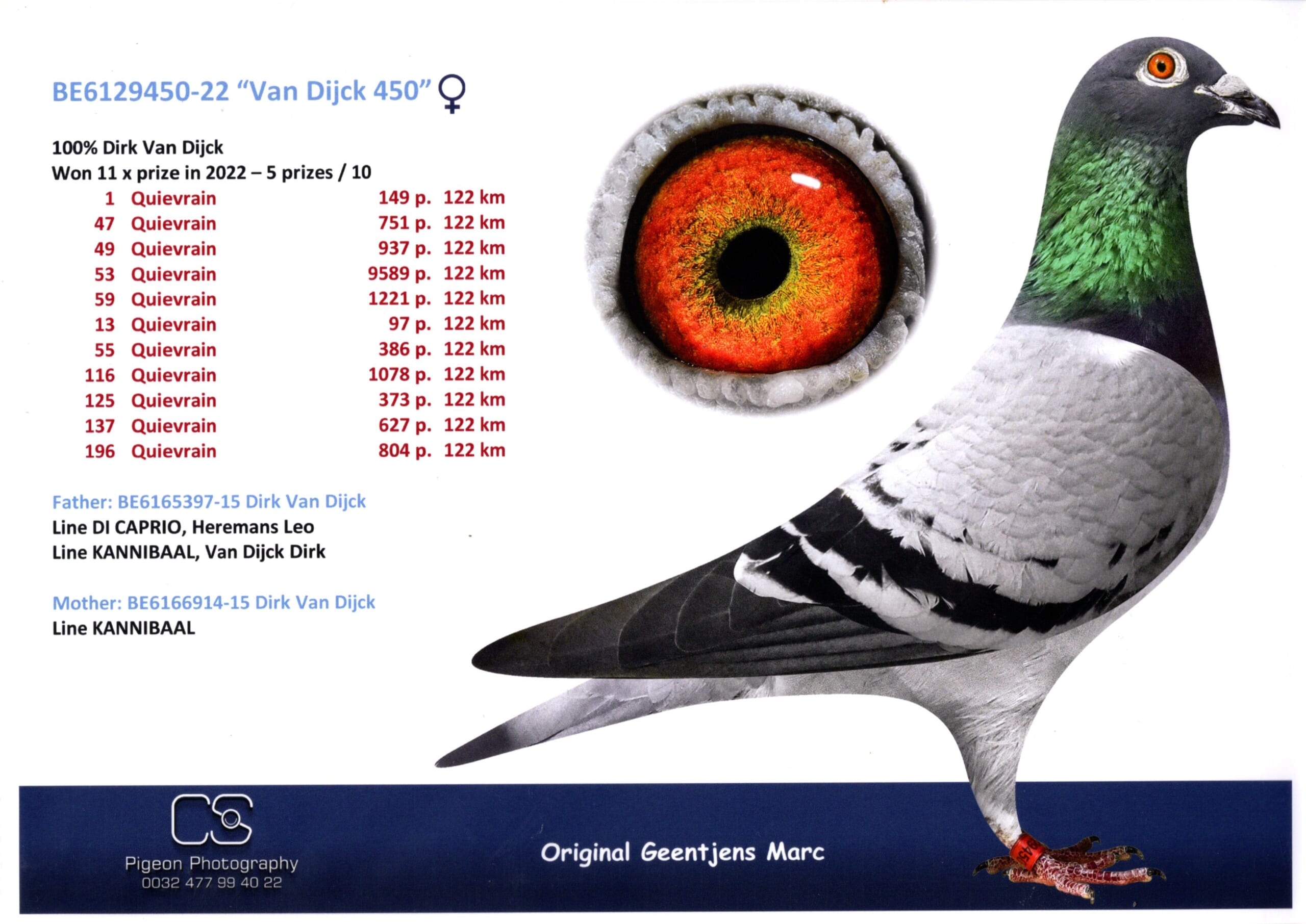 ジェンチェンス BE 6129450-22 売切れ