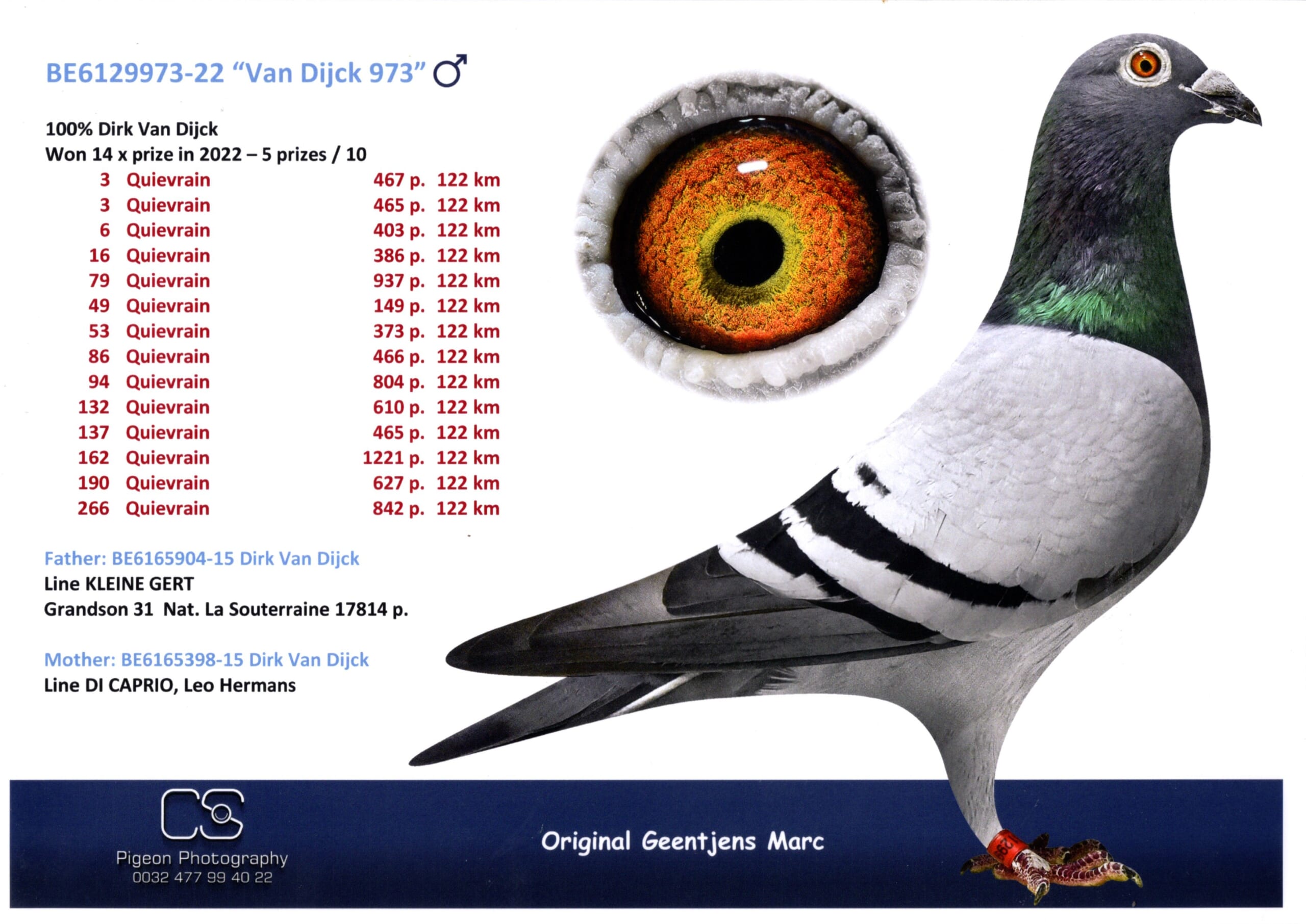 ジェンチェンス BE 6129973-22 売切れ