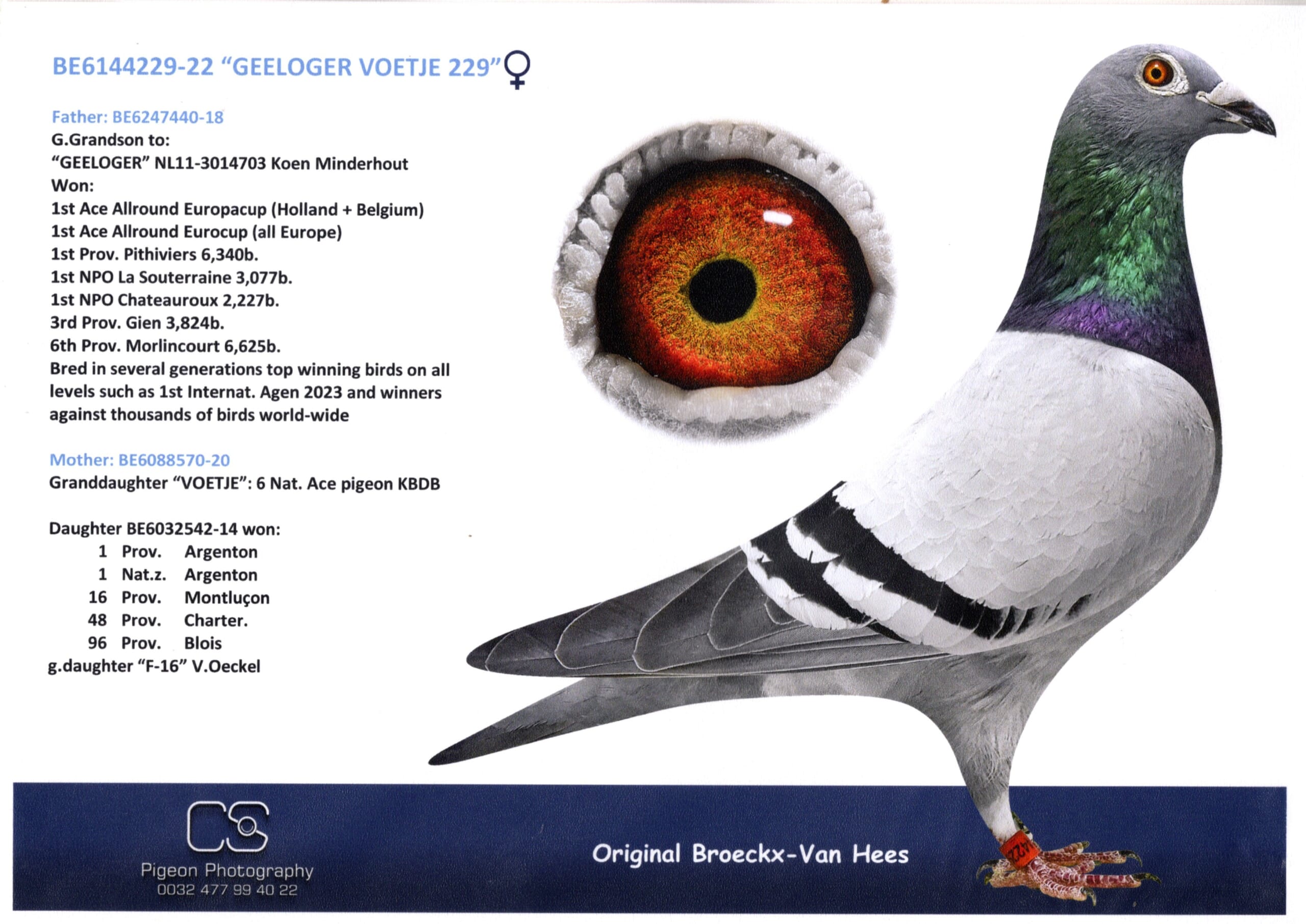 Broeckx Leo BE 6144229-22