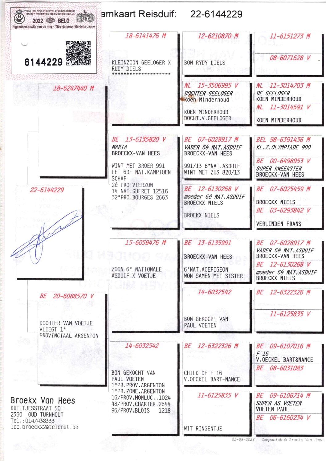 Broeckx Leo BE 6144229-22 - 画像 (2)