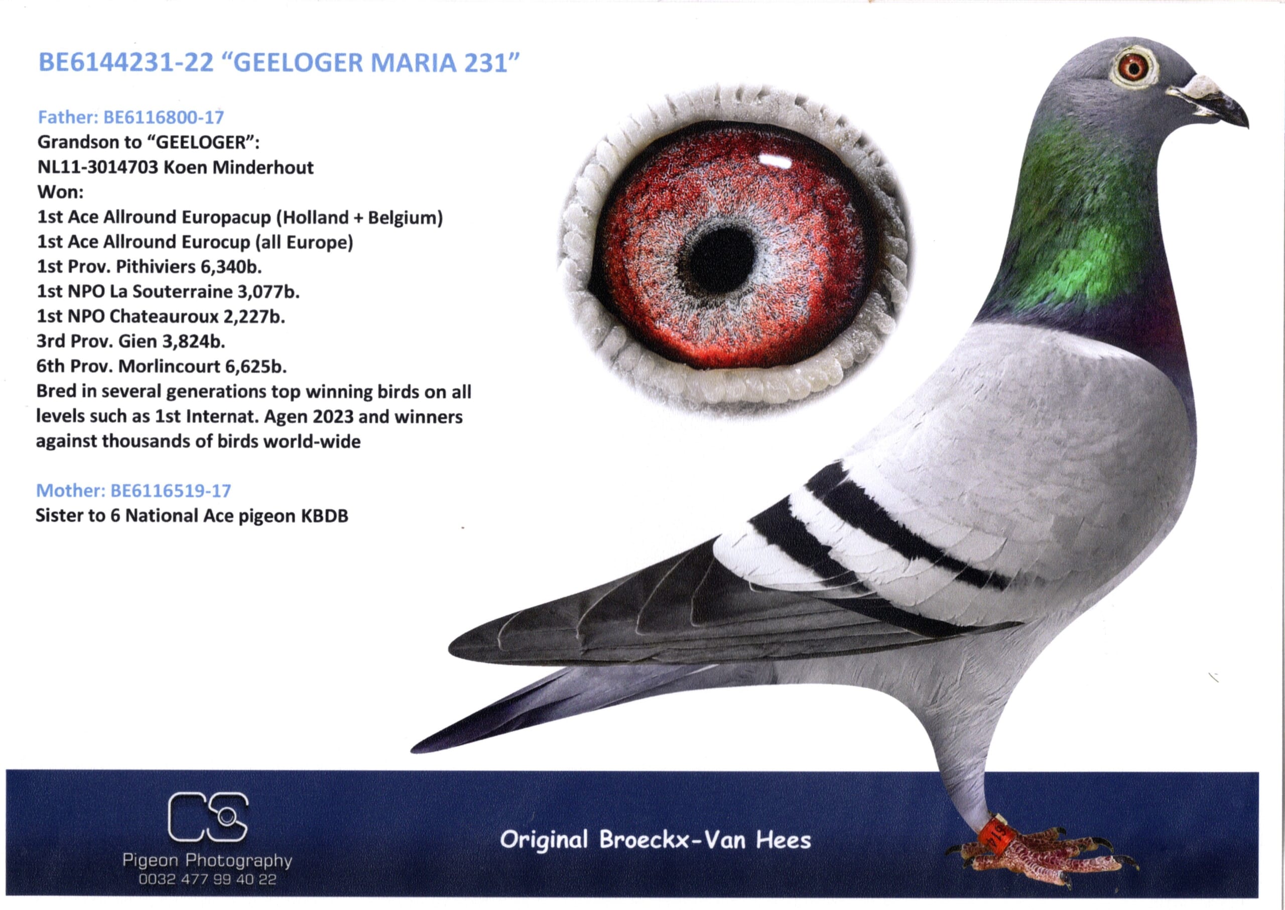 Broeckx Leo BE 6144231-22