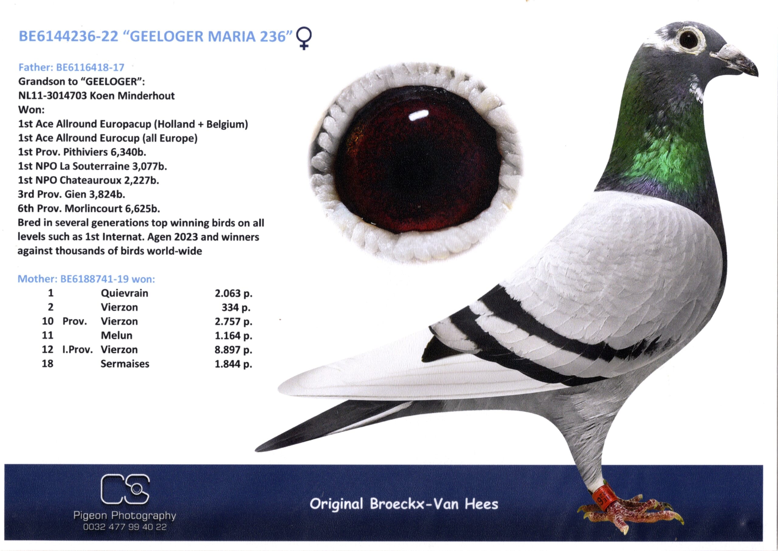 Broeckx Leo BE 6144236-22