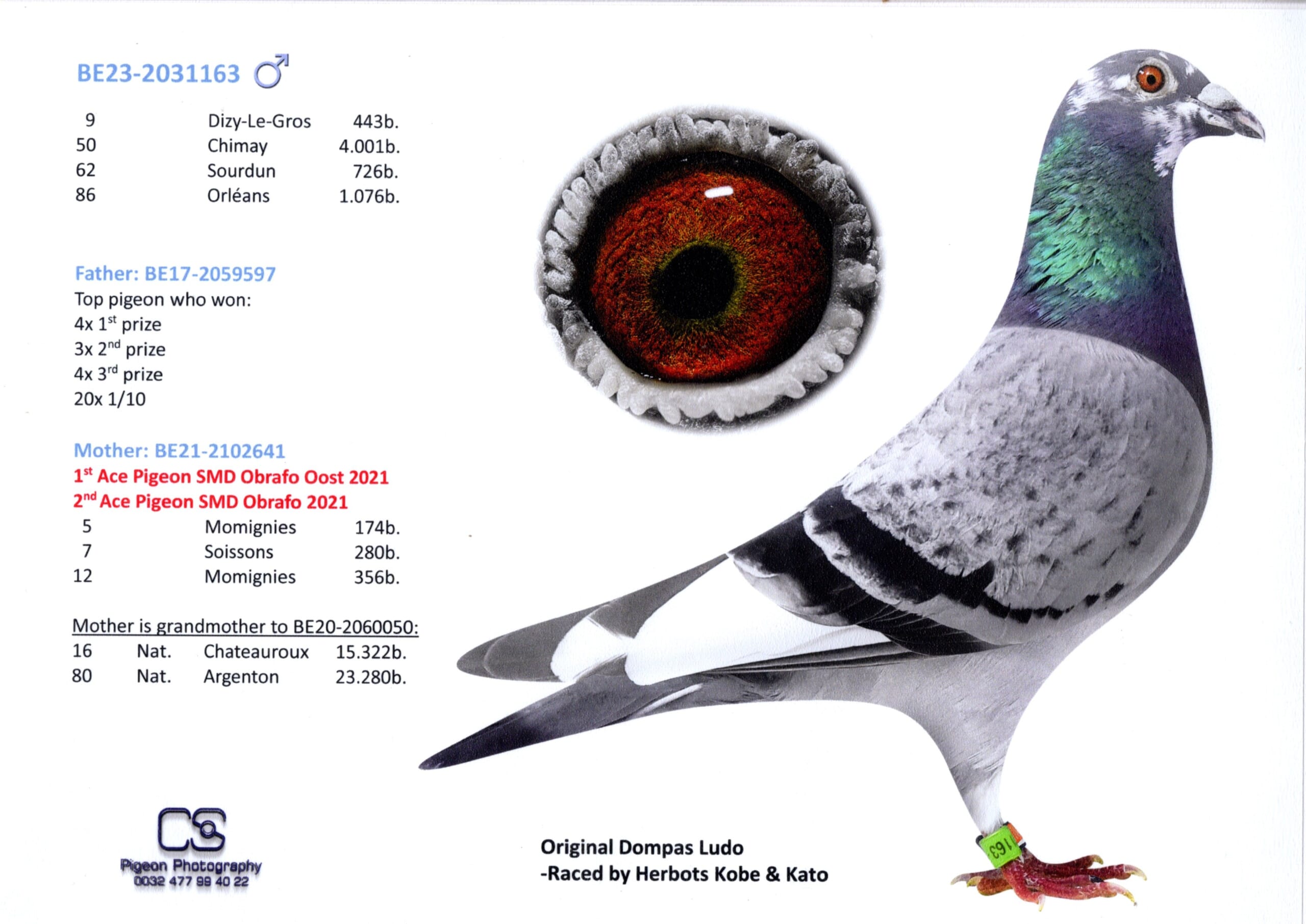 Dompas Ludo BE 2031163-23 売切れ