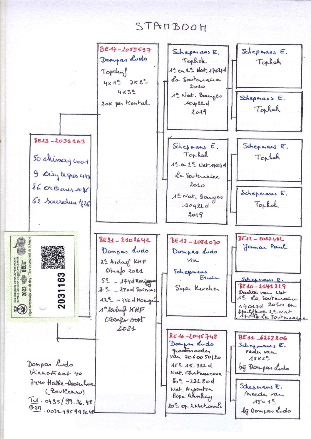 Dompas Ludo BE 2031163-23 売切れ - 画像 (2)