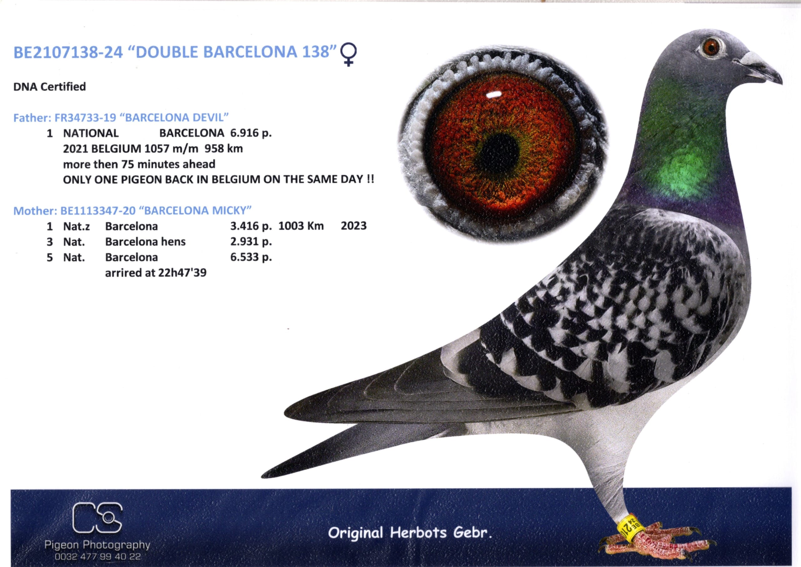 Herbots BE 2107138-24