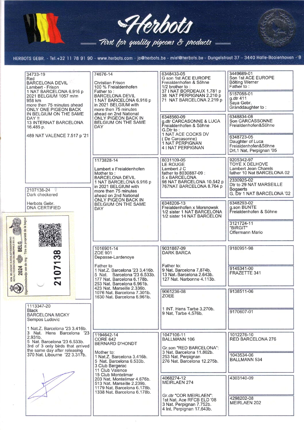 Herbots BE 2107138-24 - 画像 (2)