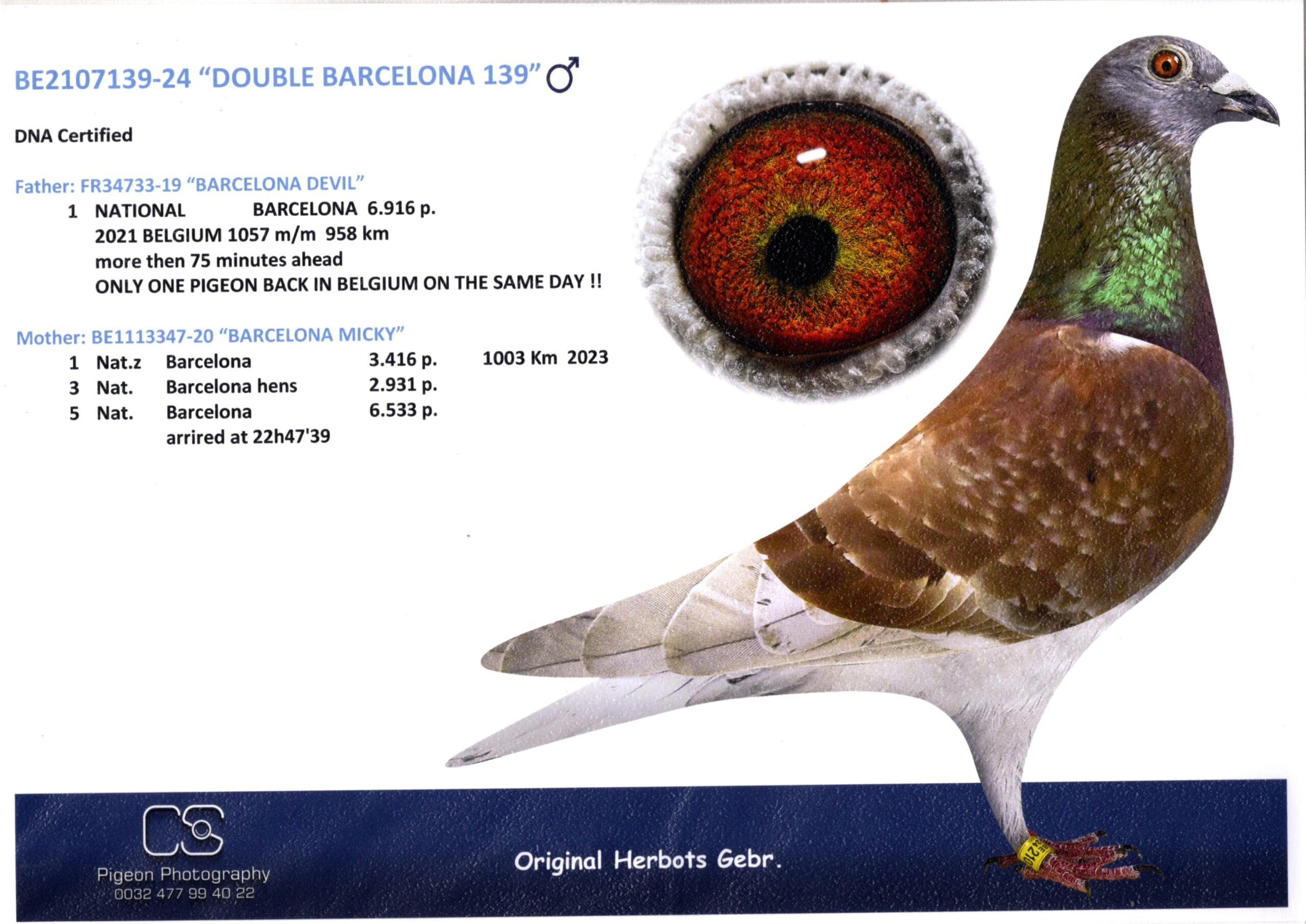 Herbots BE 2107139-24 2階で配合