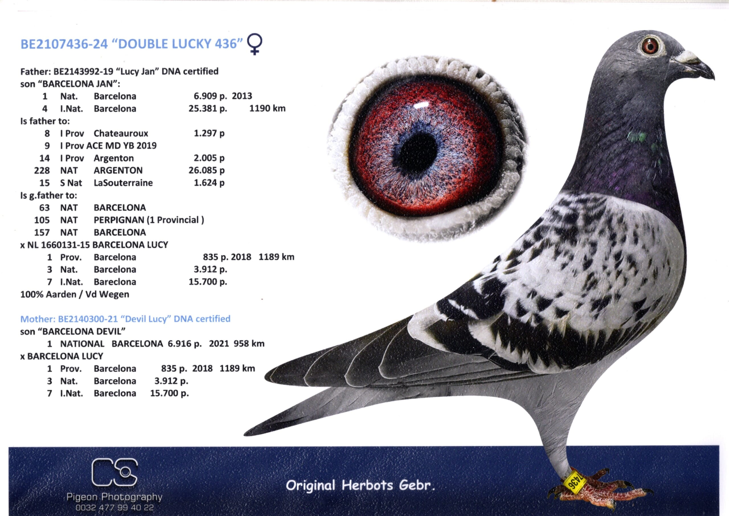 Herbots BE 2107436-24 売切れ