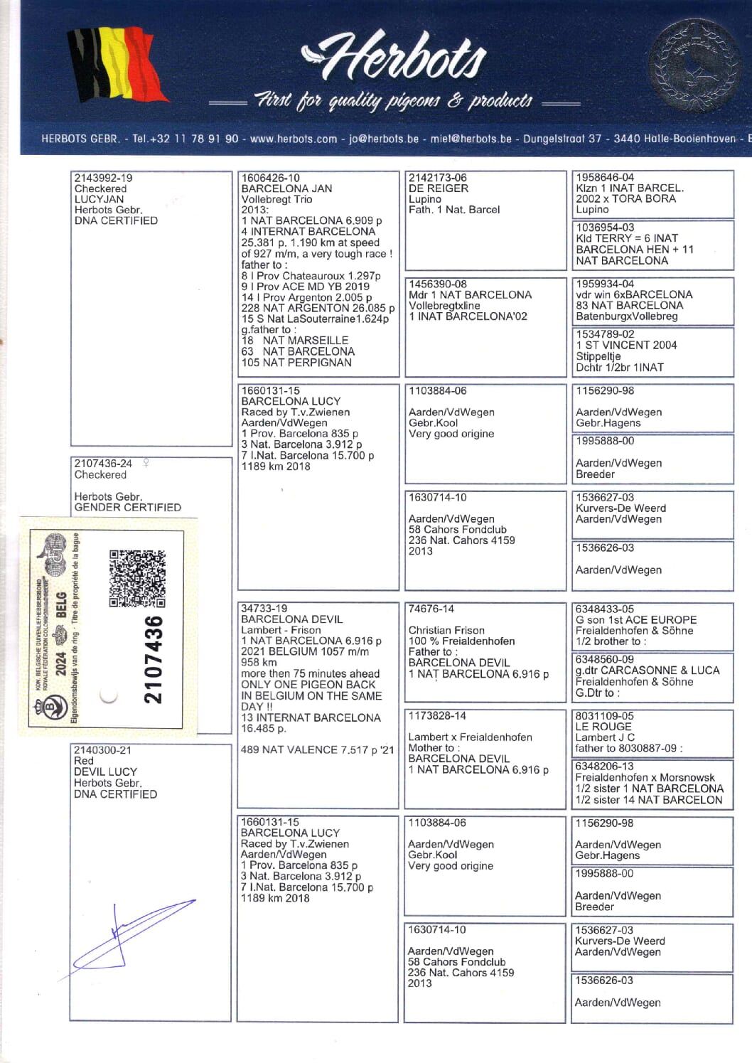Herbots BE 2107436-24 売切れ - 画像 (2)