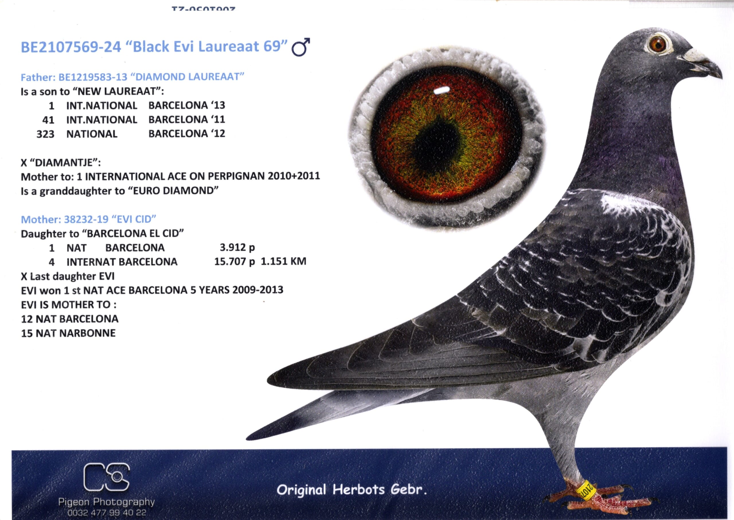 Herbots BE 2107569-24 売切れ