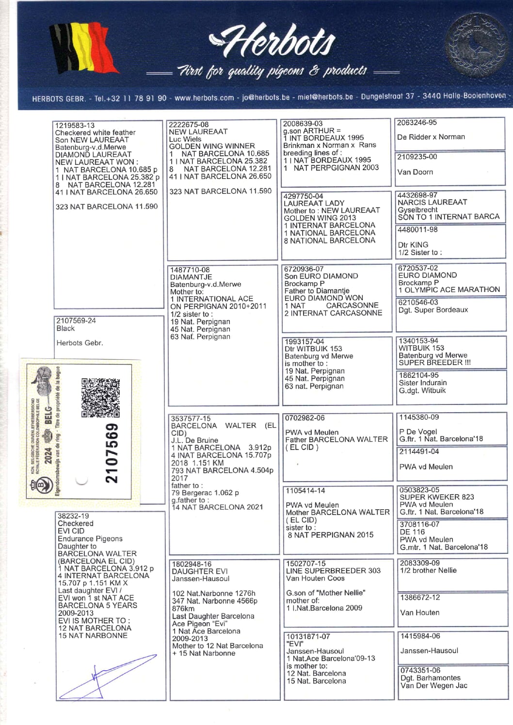 Herbots BE 2107569-24 売切れ - 画像 (2)