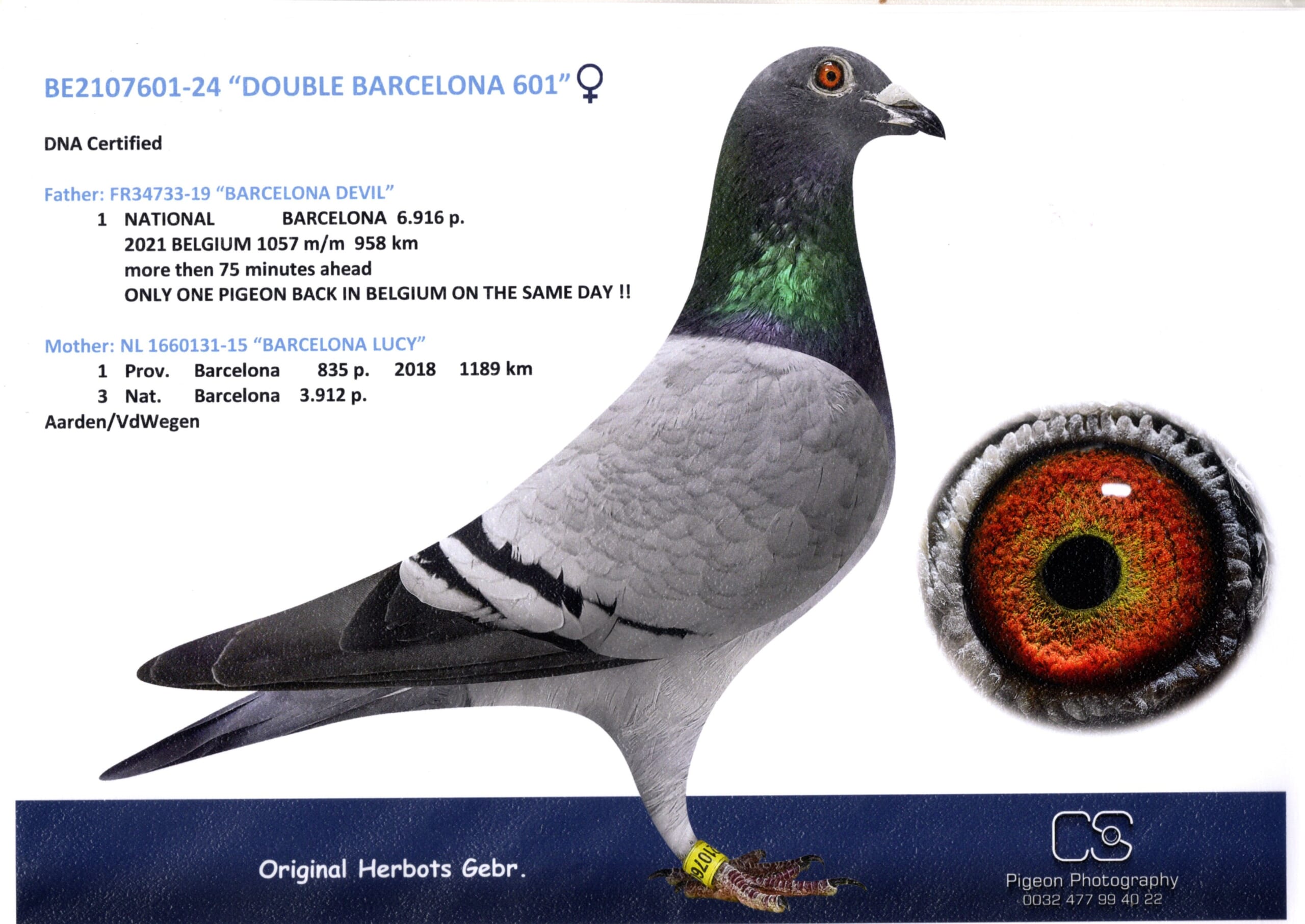 Herbots BE 2107601-24 2階で配合