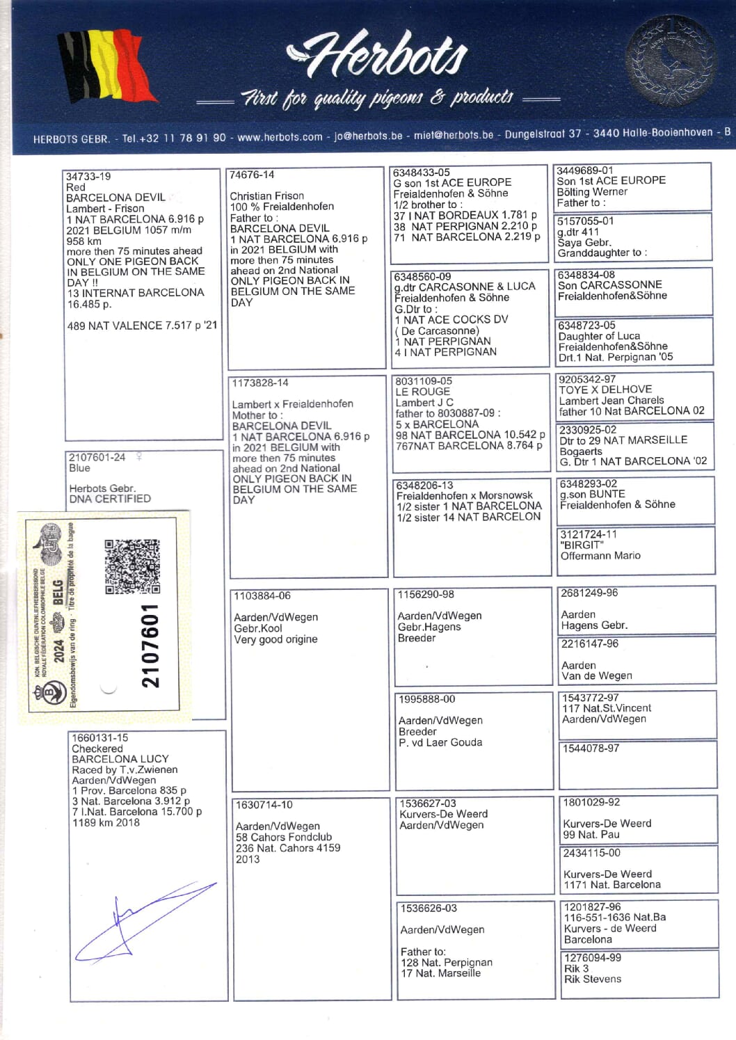 Herbots BE 2107601-24 2階で配合 - 画像 (2)