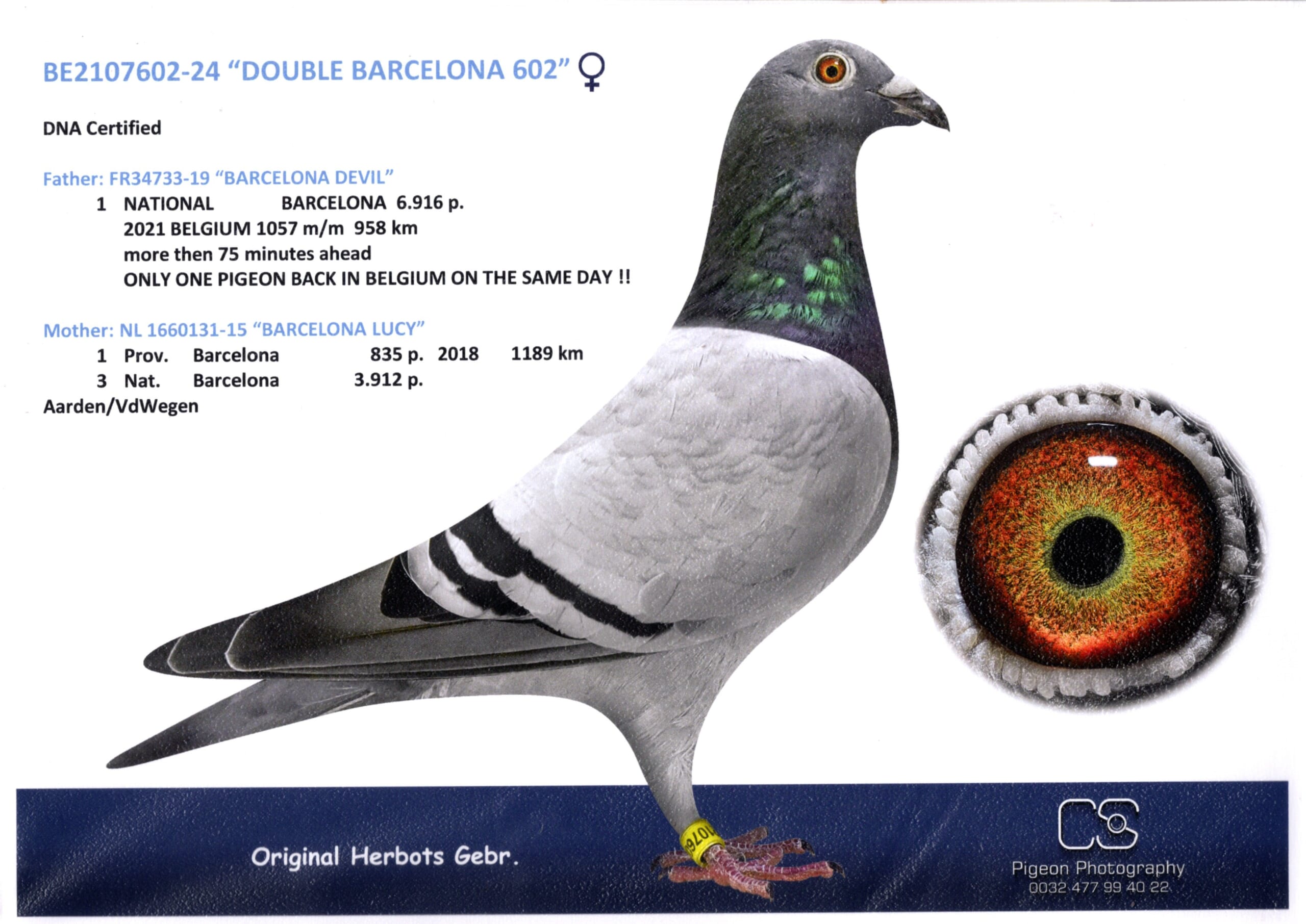 Herbots BE 2107602-24