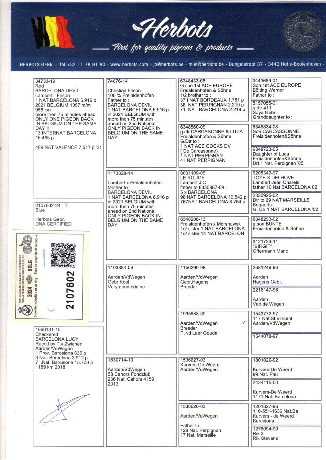 Herbots BE 2107602-24 - 画像 (2)