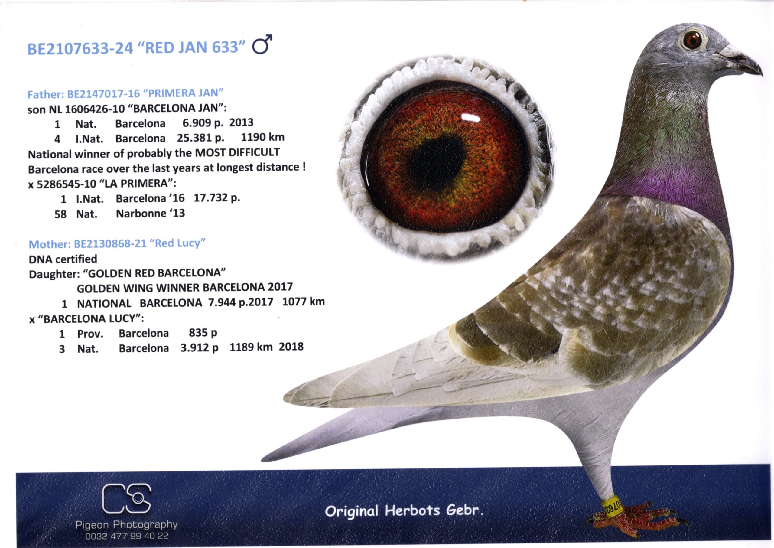 Herbots BE 2107633-24 売切れ