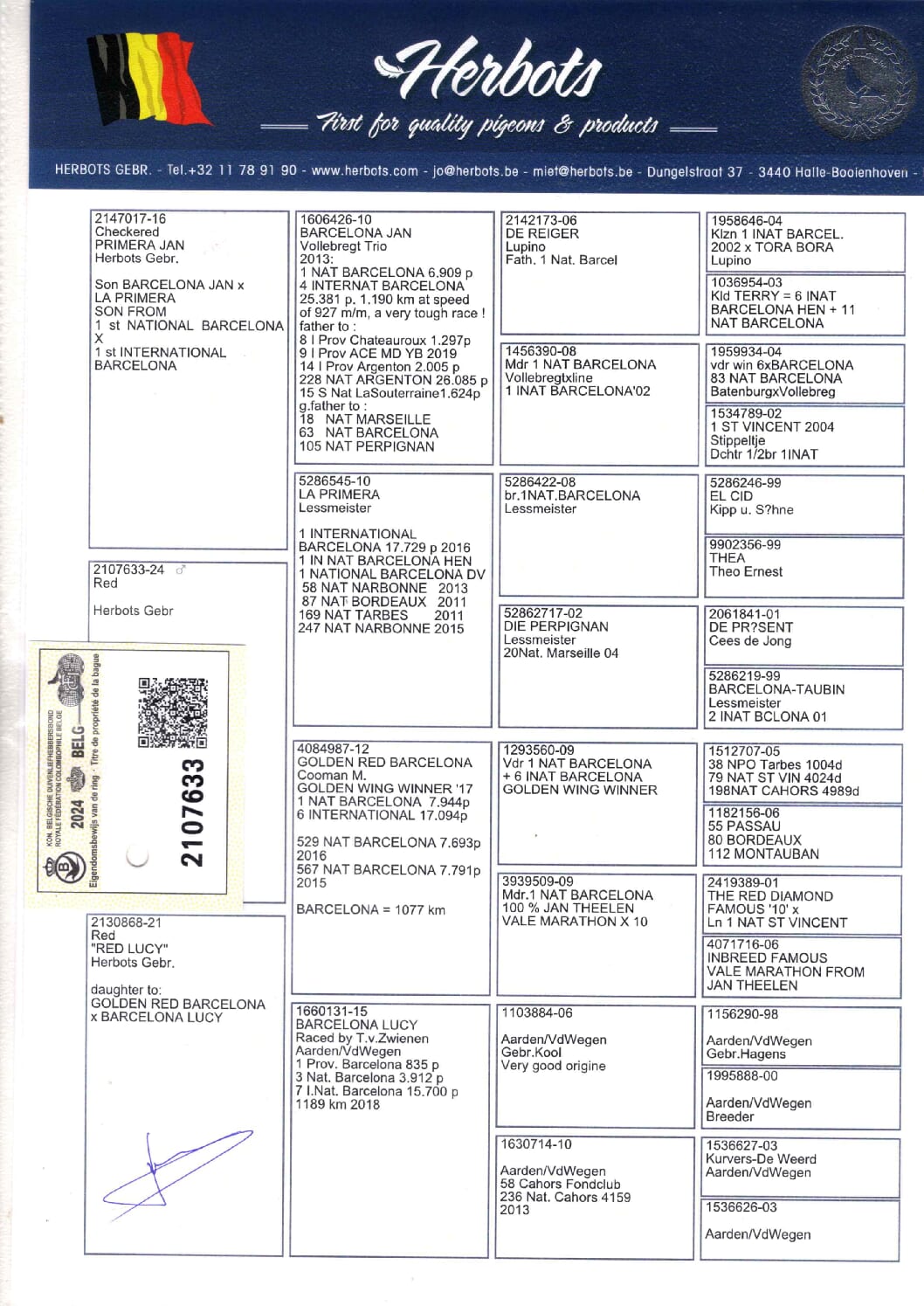Herbots BE 2107633-24 売切れ - 画像 (2)