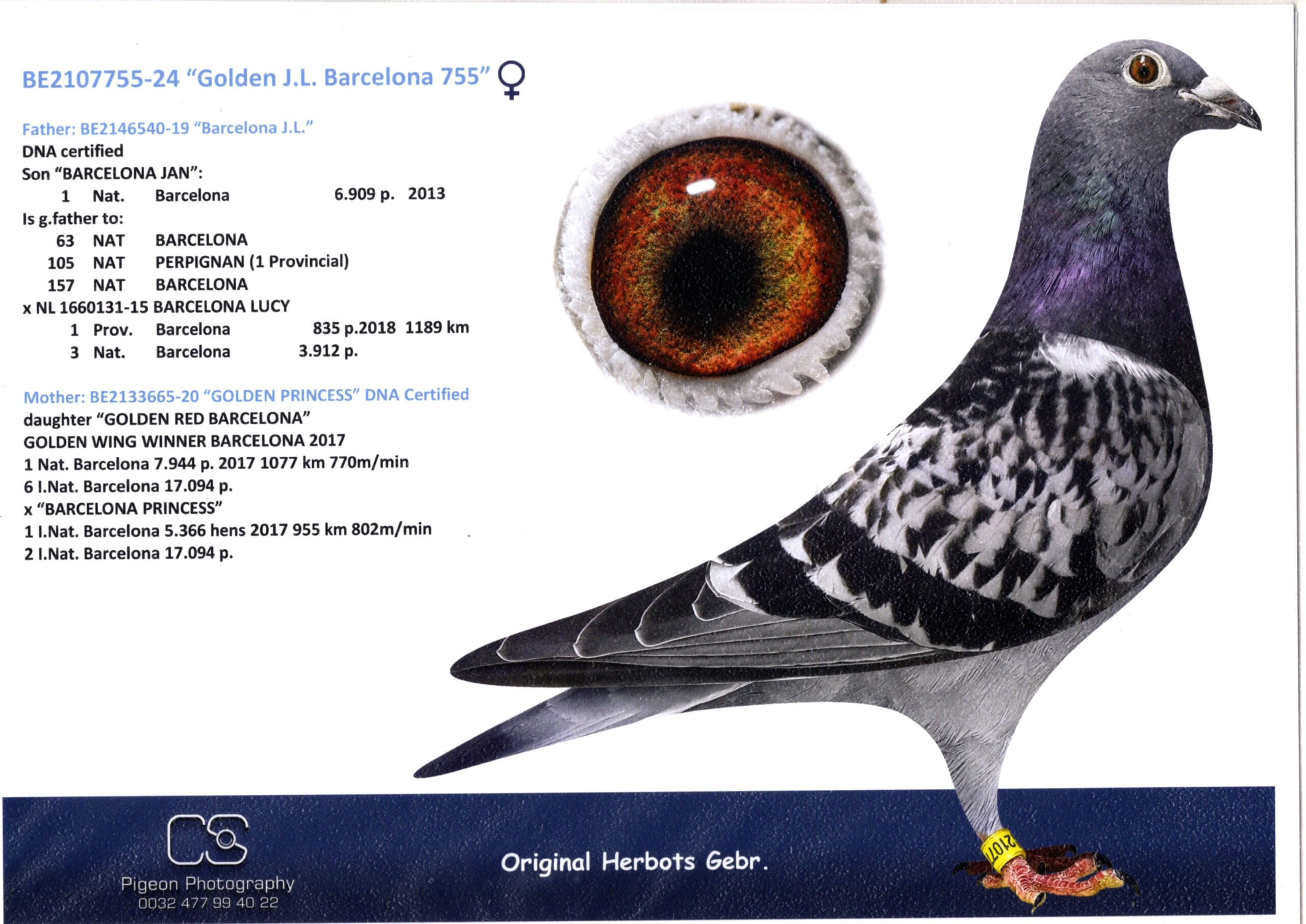 Herbots BE 2107755-24