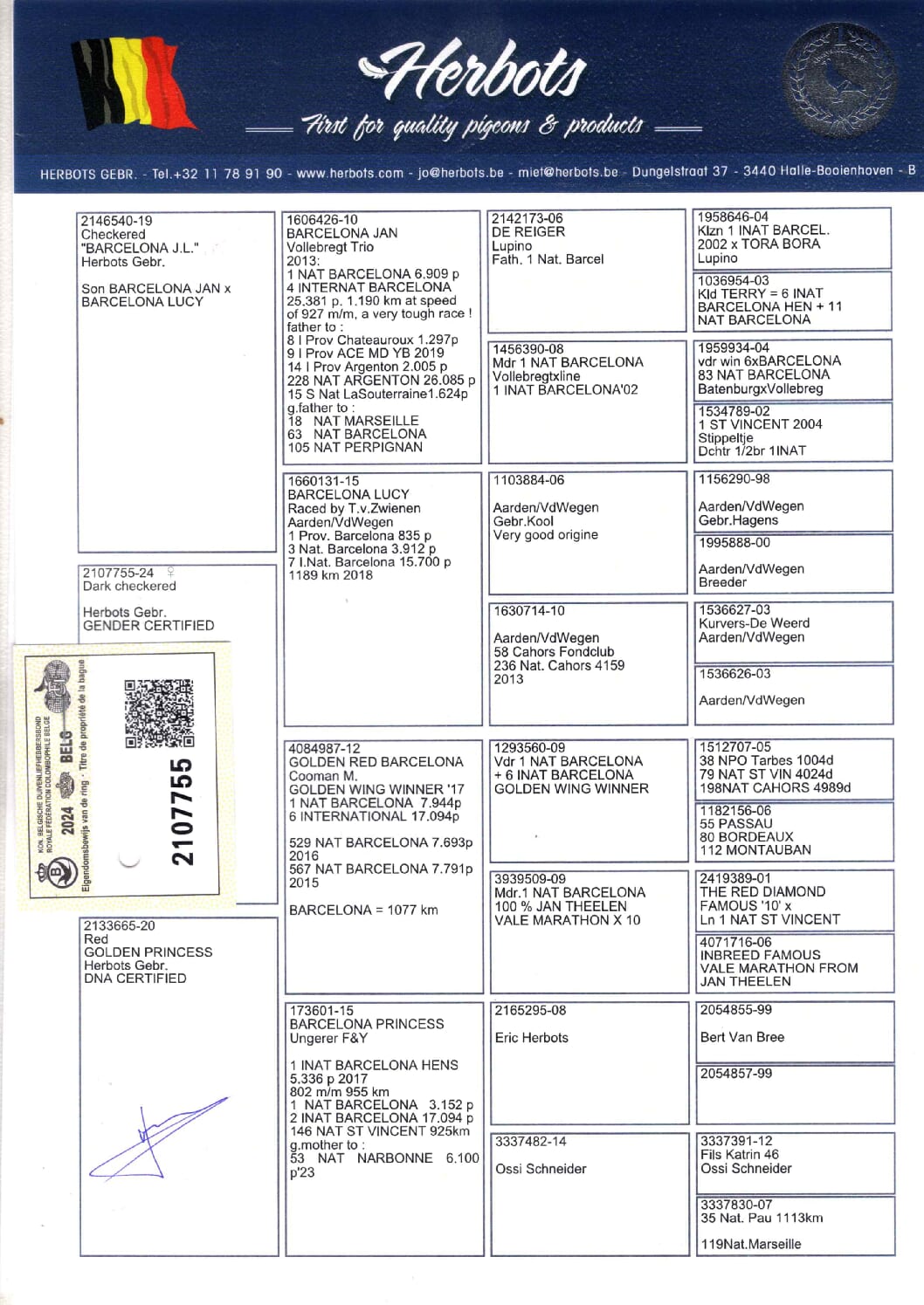 Herbots BE 2107755-24 - 画像 (2)