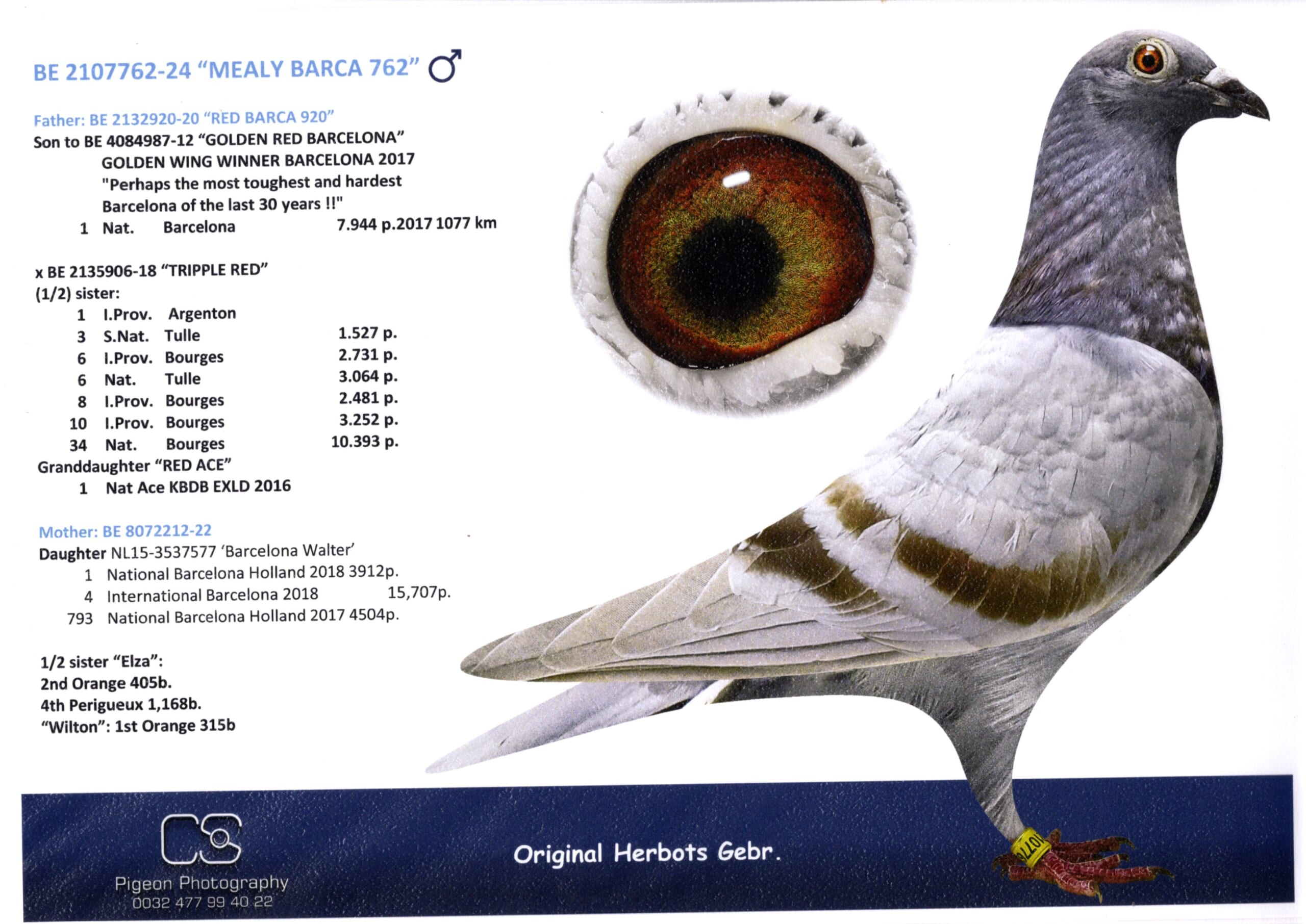 Herbots BE 2107762-24