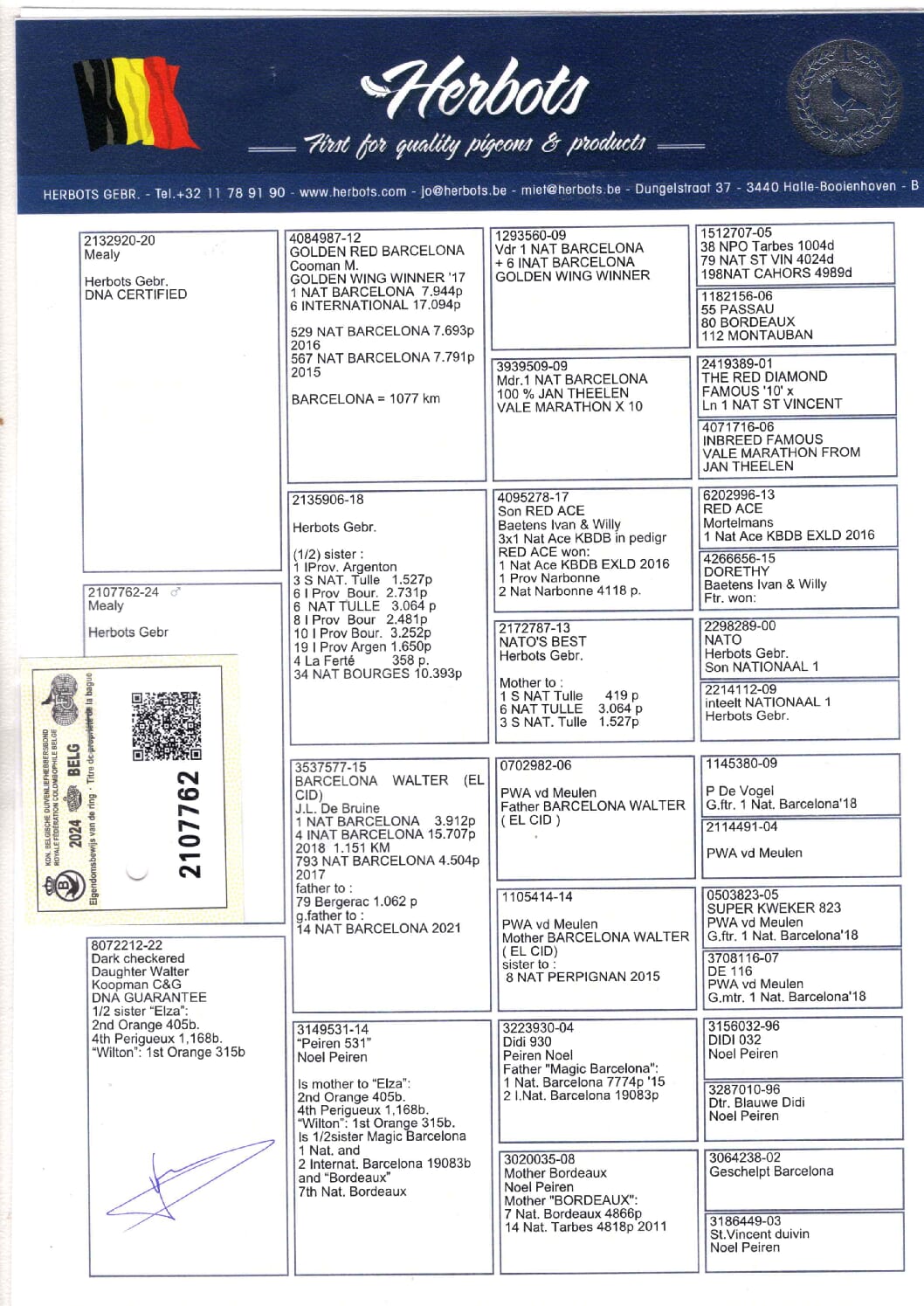 Herbots BE 2107762-24 - 画像 (2)