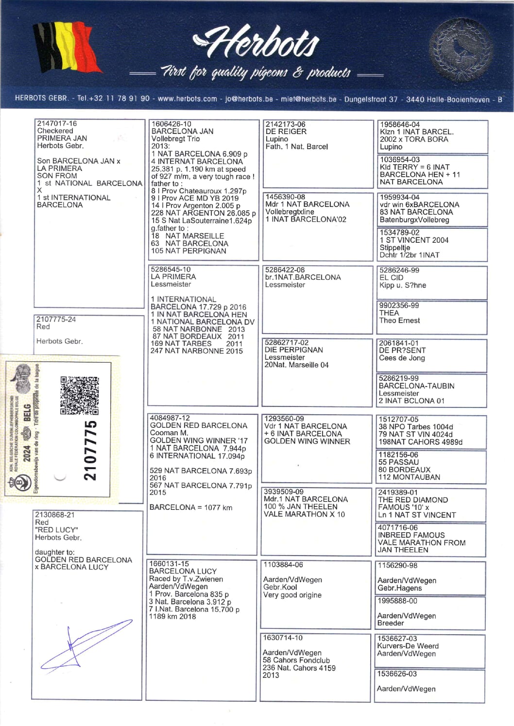 Herbots BE 2107775-24 売切れ - 画像 (2)