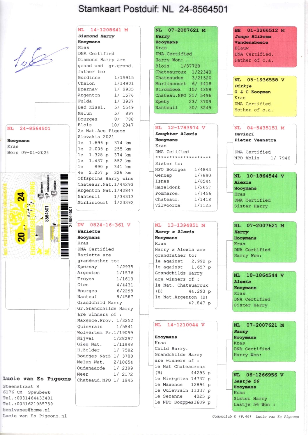 ルーシー・ファンエス NL 8564501-24 売切れ - 画像 (2)