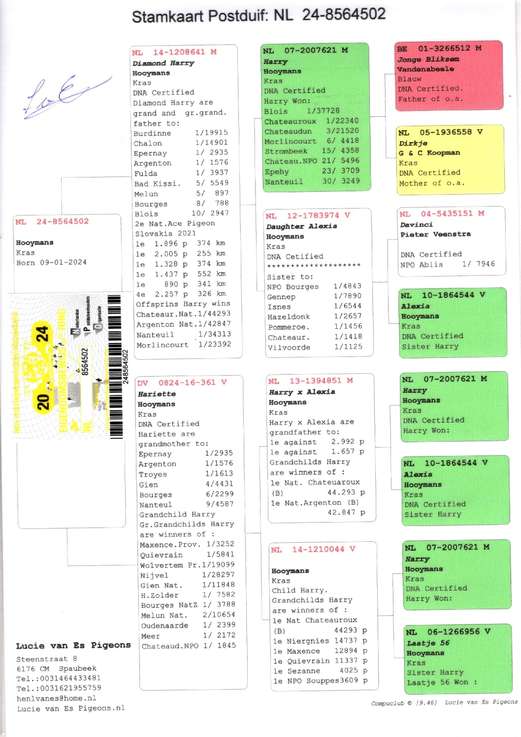 ルーシー・ファンエス NL 8564502-24 売切れ - 画像 (2)
