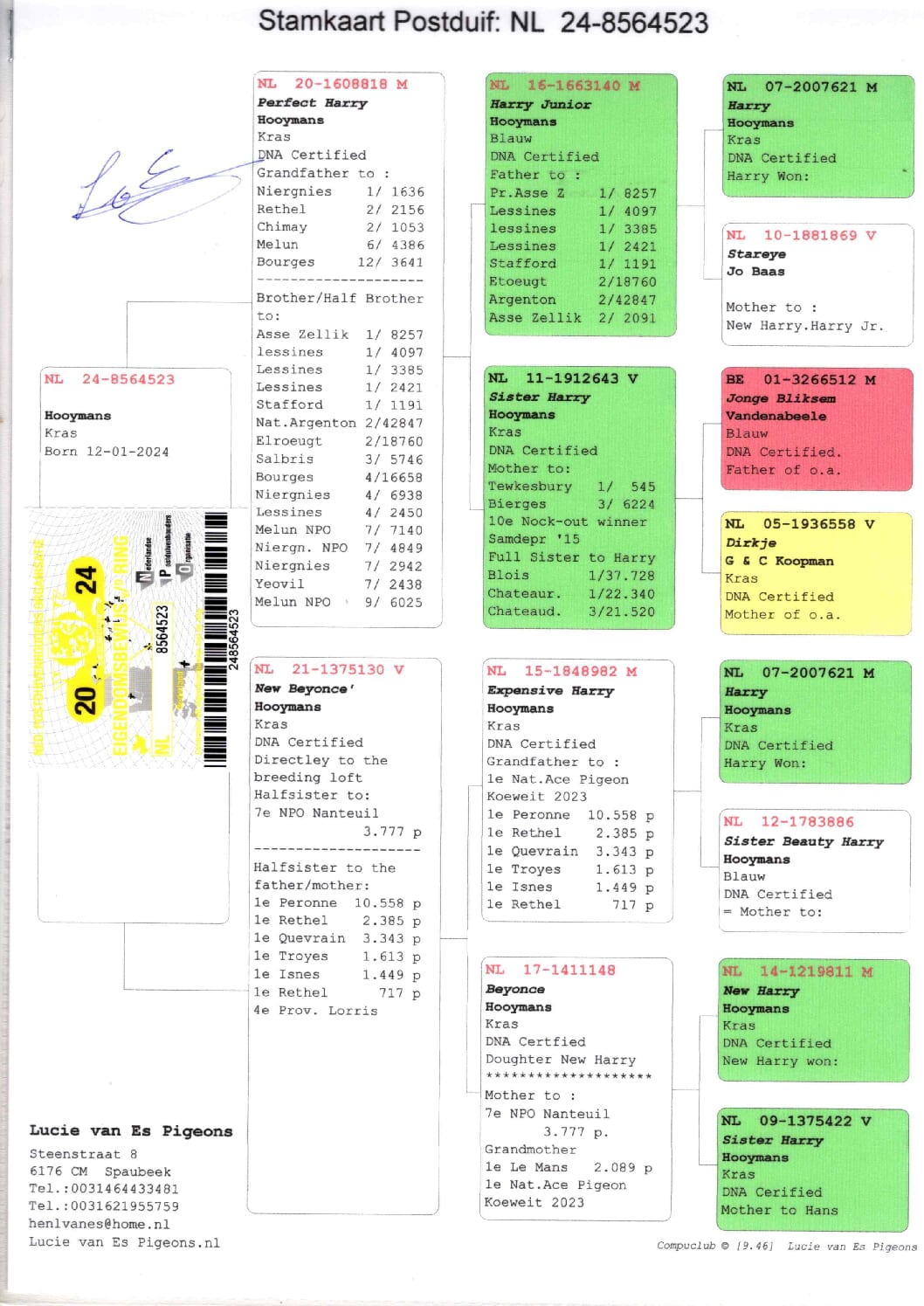 ルーシー・ファンエス NL 8564523-24 売切れ - 画像 (2)