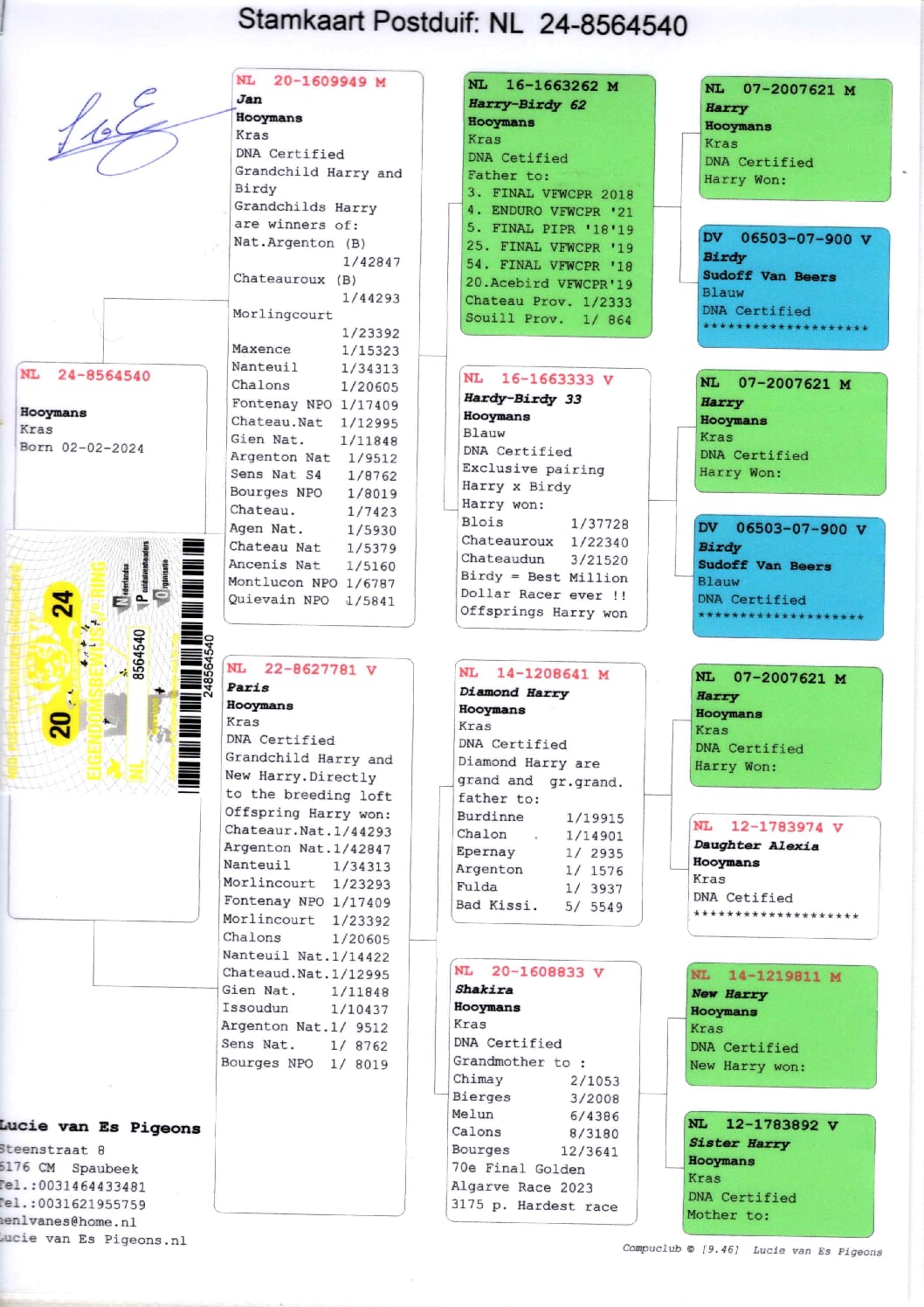 ルーシー・ファンエス NL 8564540-24 売切れ - 画像 (2)