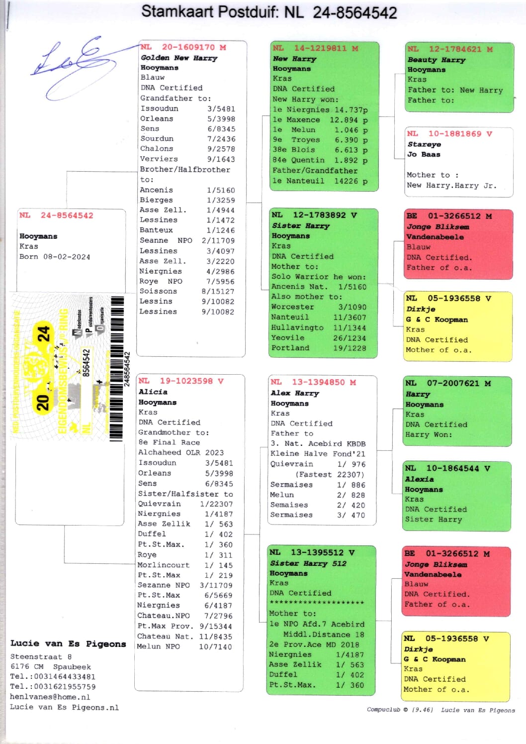 ルーシー・ファンエス NL 8564542-24 売切れ - 画像 (2)