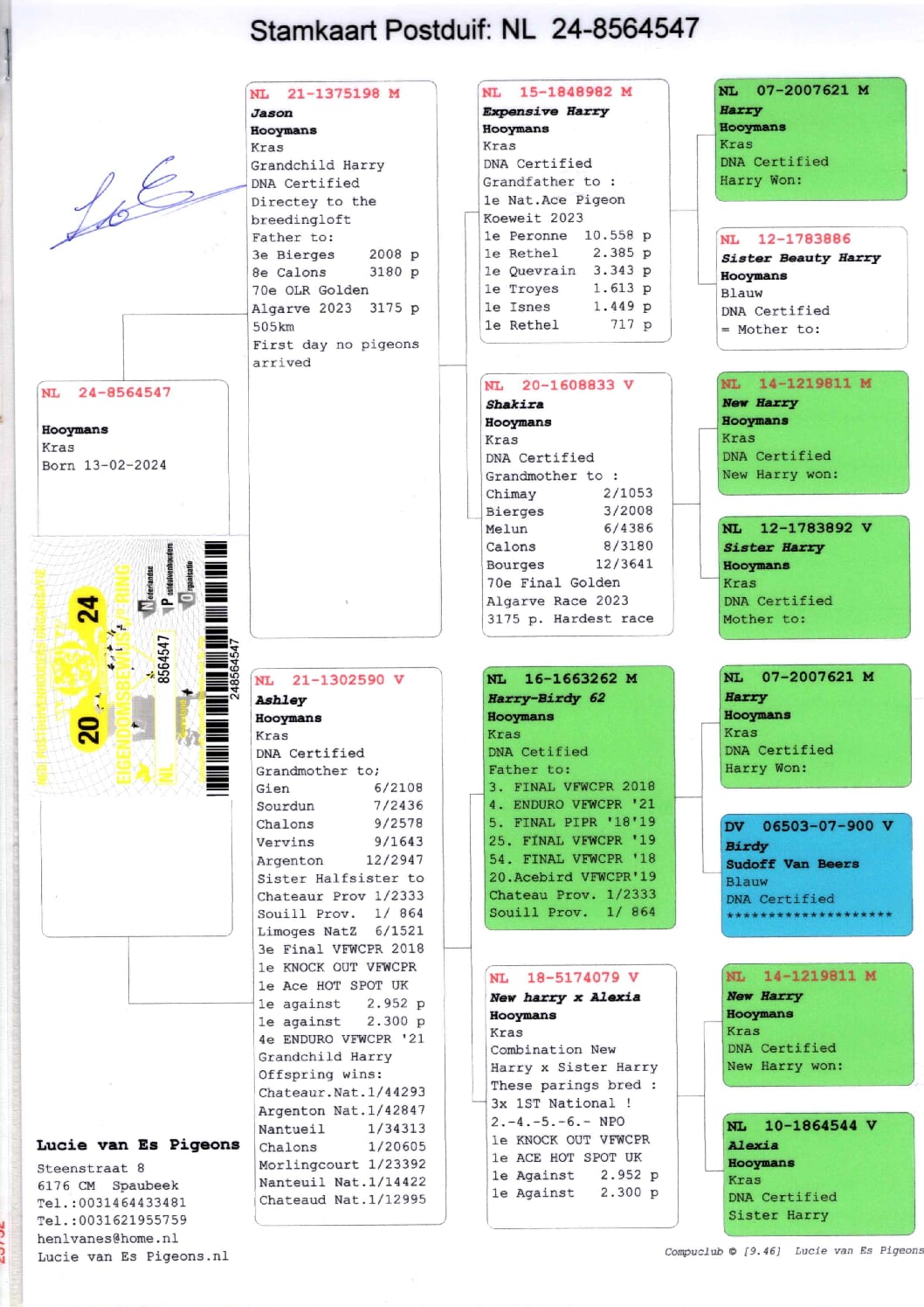 ルーシー・ファンエス NL 8564547-24 売切れ - 画像 (2)