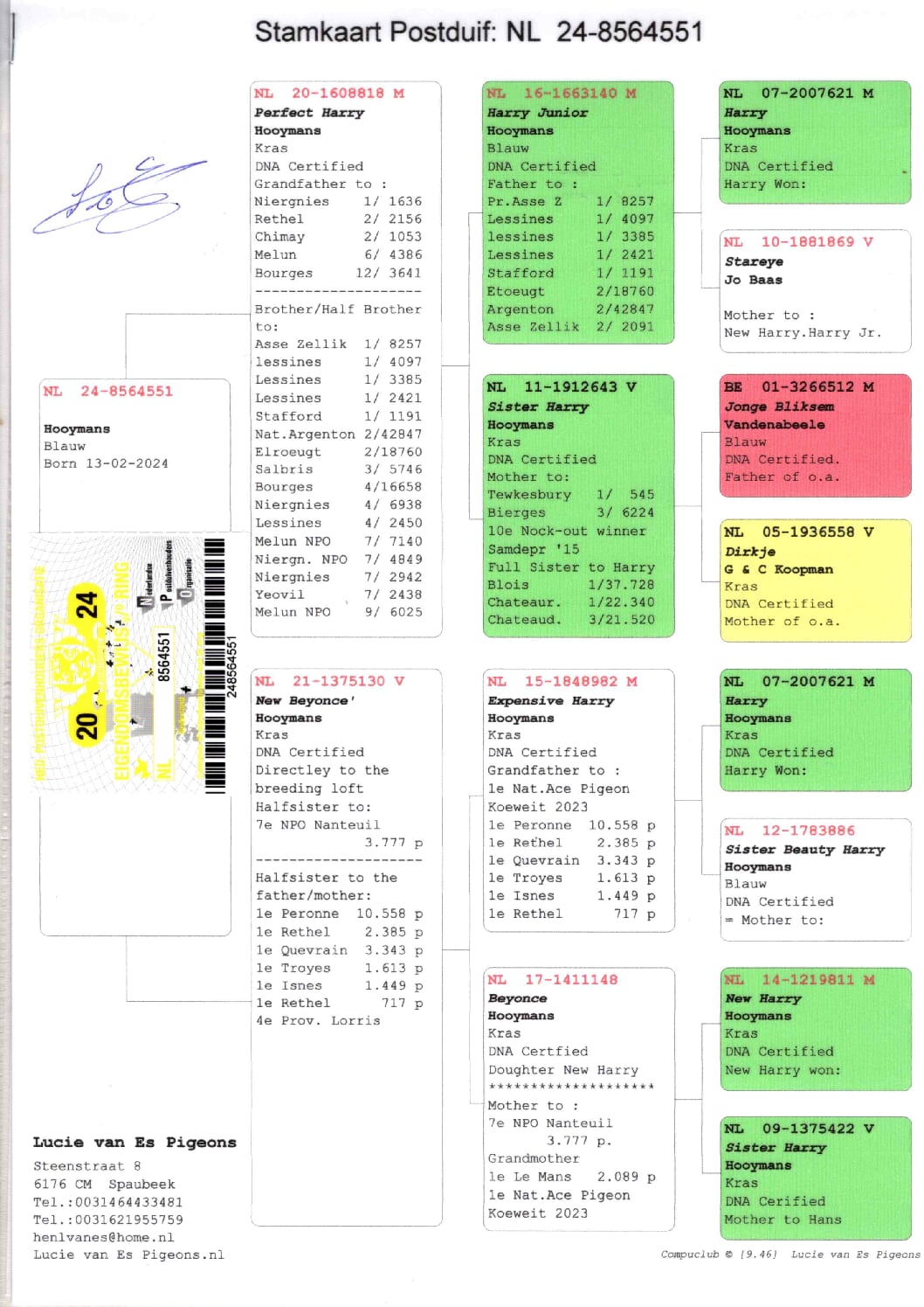 ルーシー・ファンエス NL 8564551-24 売切れ - 画像 (2)