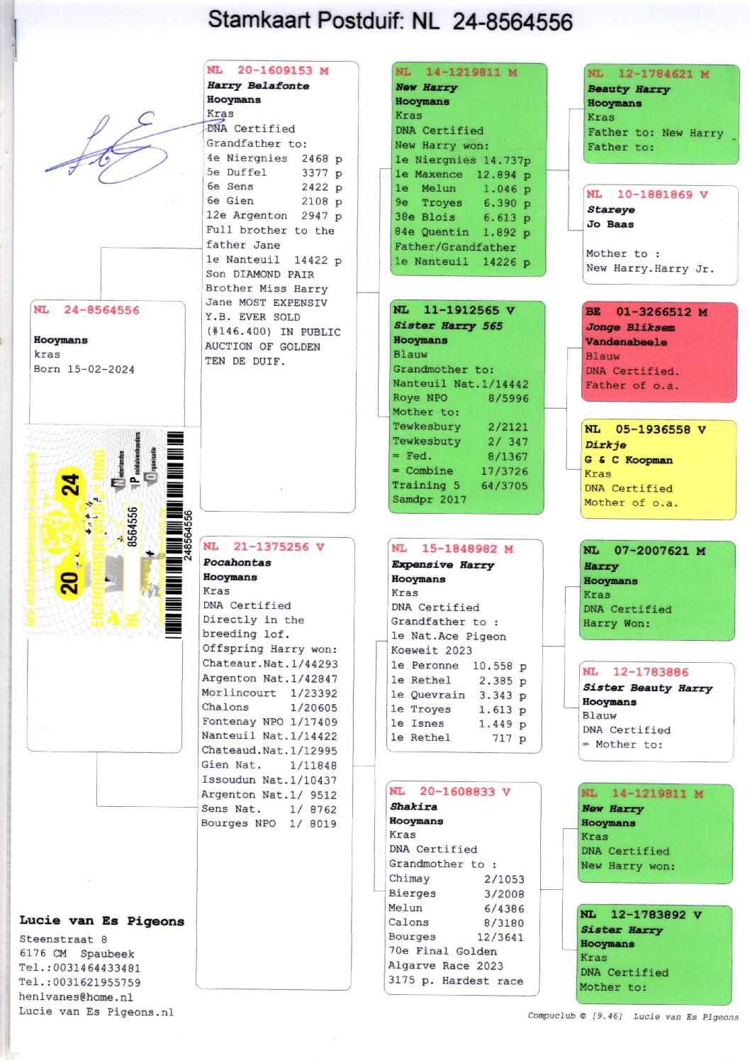 ルーシー・ファンエス NL 8564556-24 売切れ - 画像 (2)