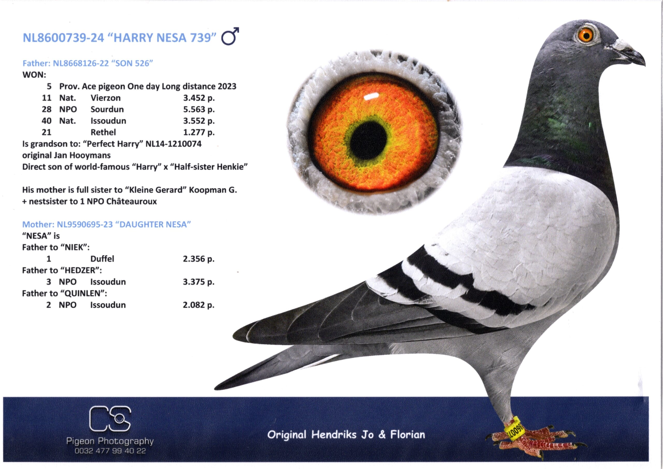 ヘンドリックス NL 8600739-24