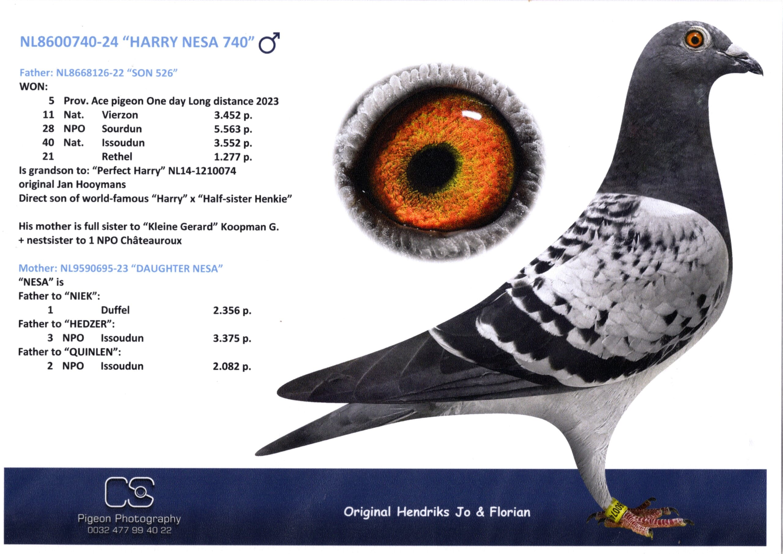 ヘンドリックス NL 8600740-24