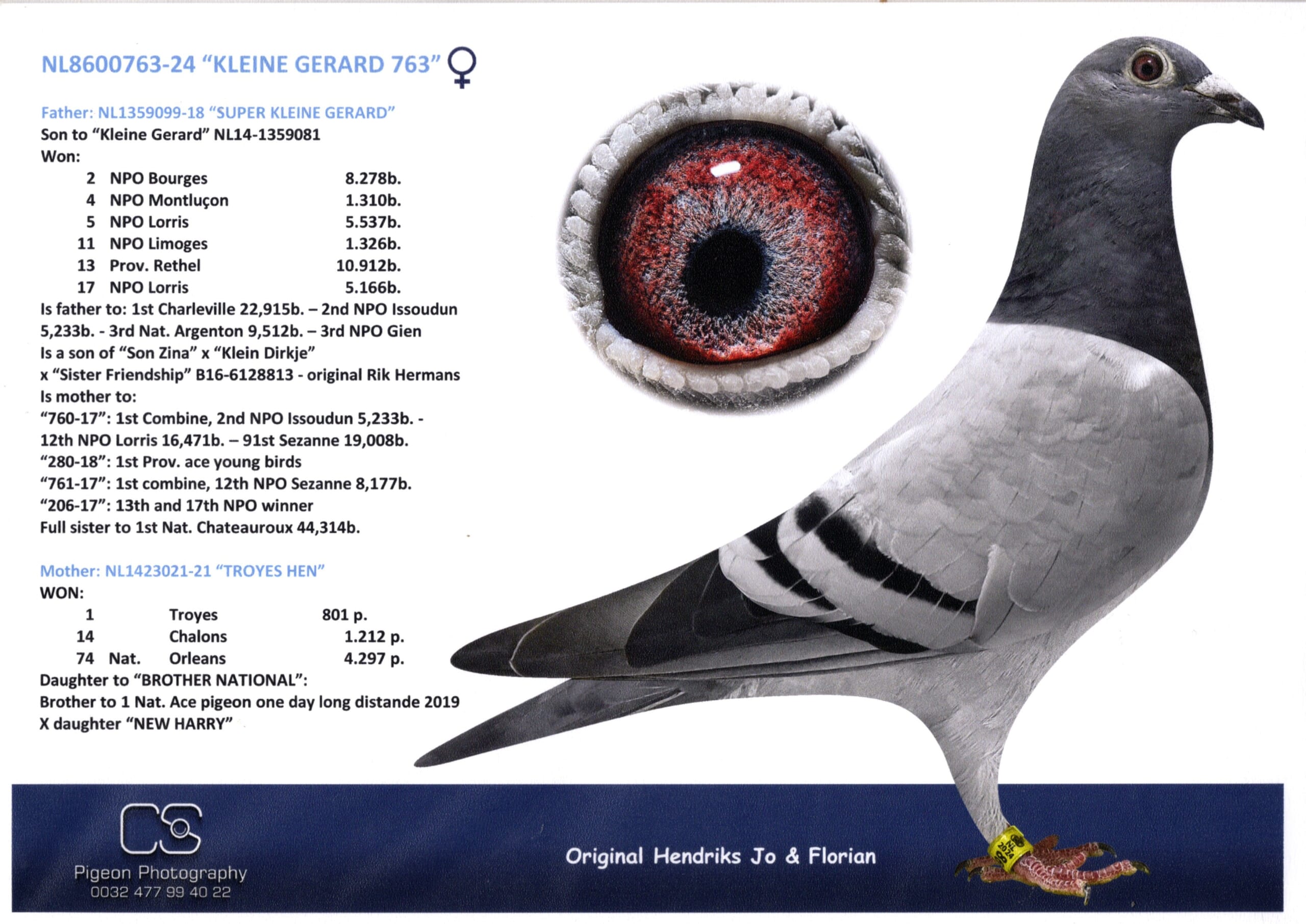 ヘンドリックス NL 8600763-24 売切れ