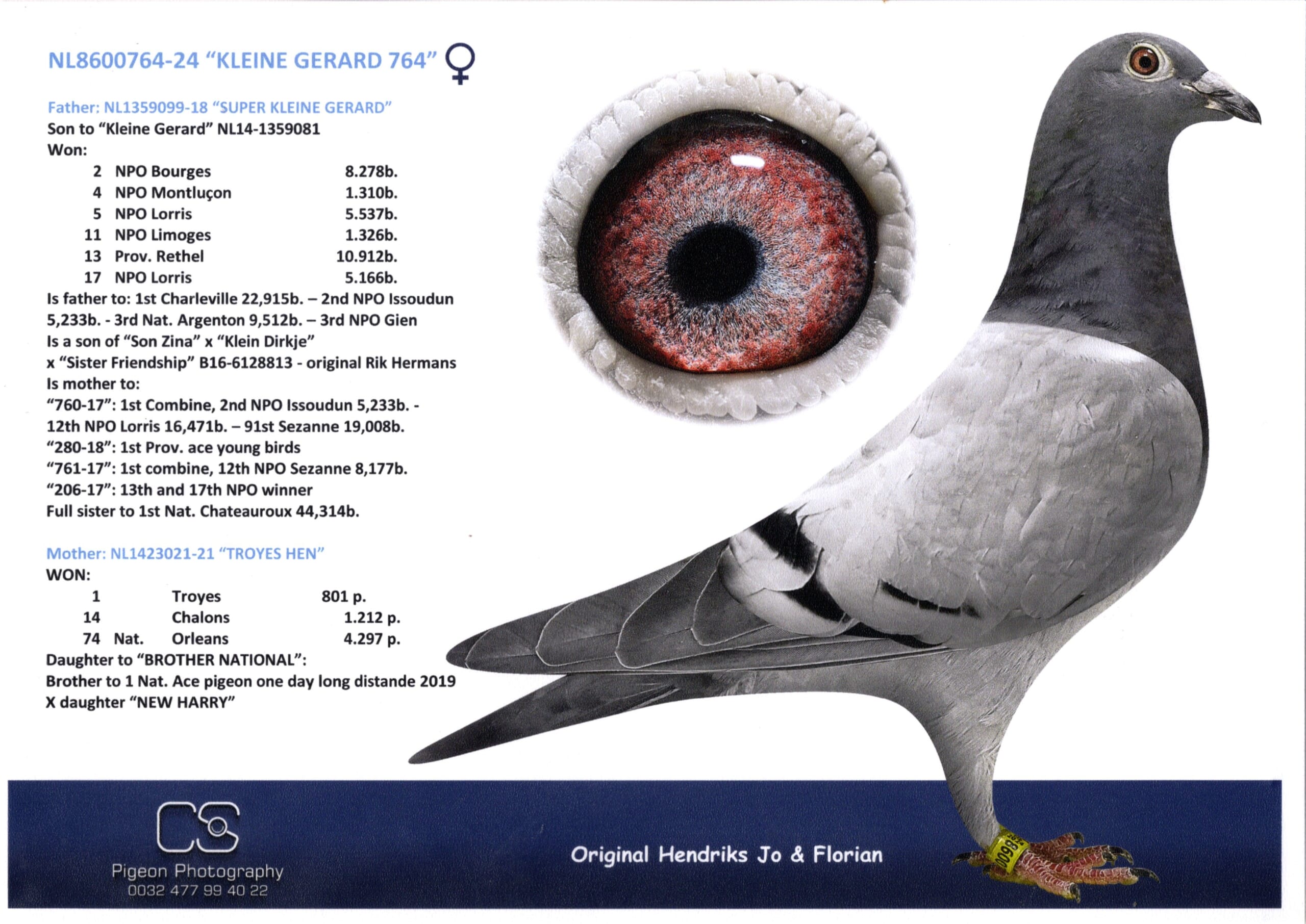 ヘンドリックス NL 8600764-24 売切れ