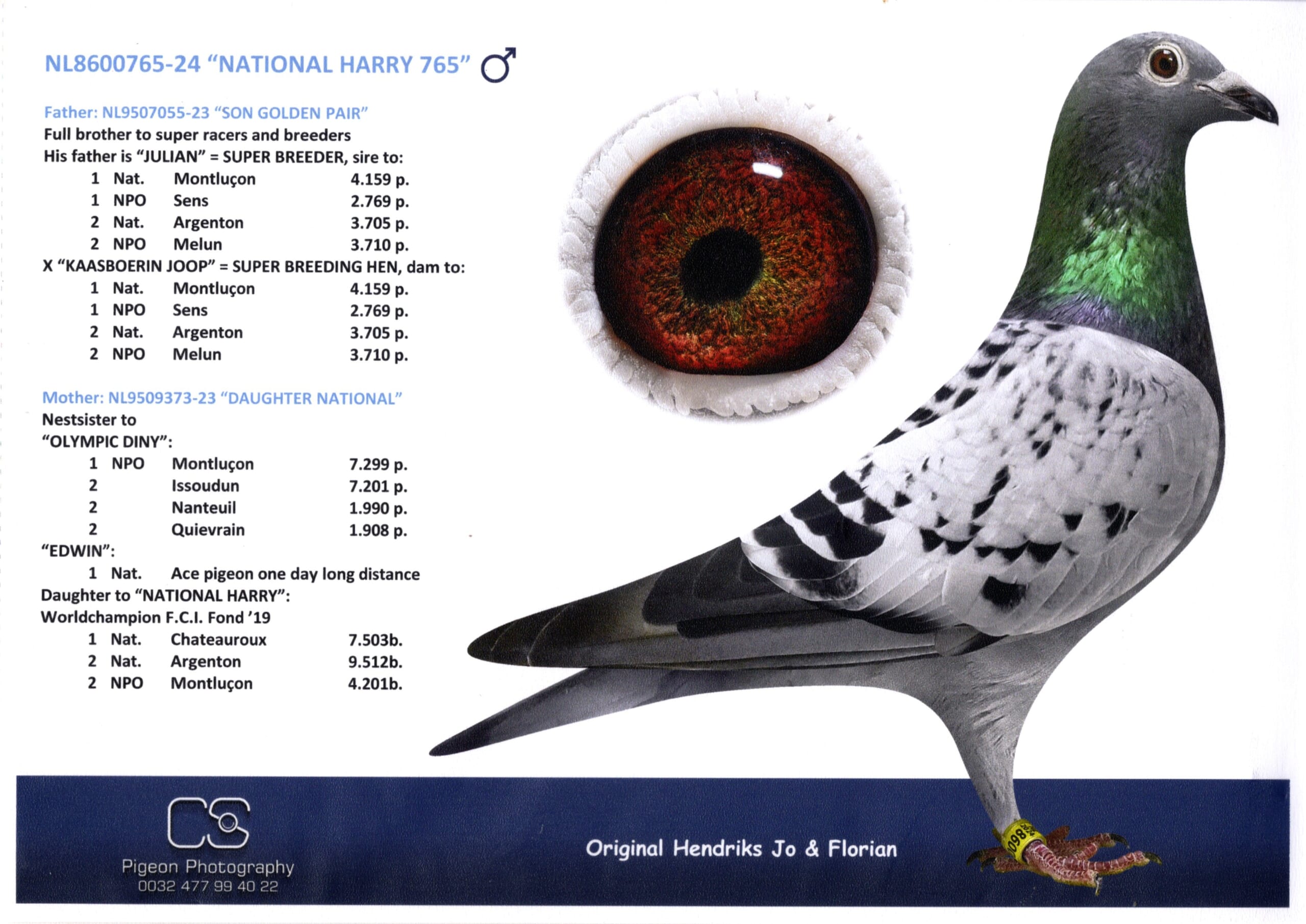 ヘンドリックス NL 8600765-24 売切れ