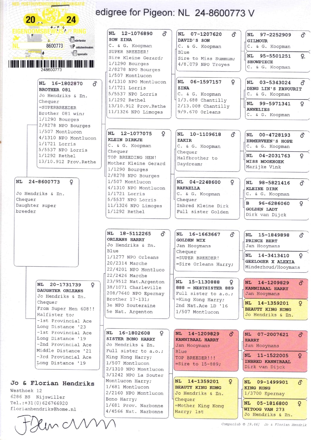 ヘンドリックス NL 8600773-24 北野鳩舎種鳩 - 画像 (2)