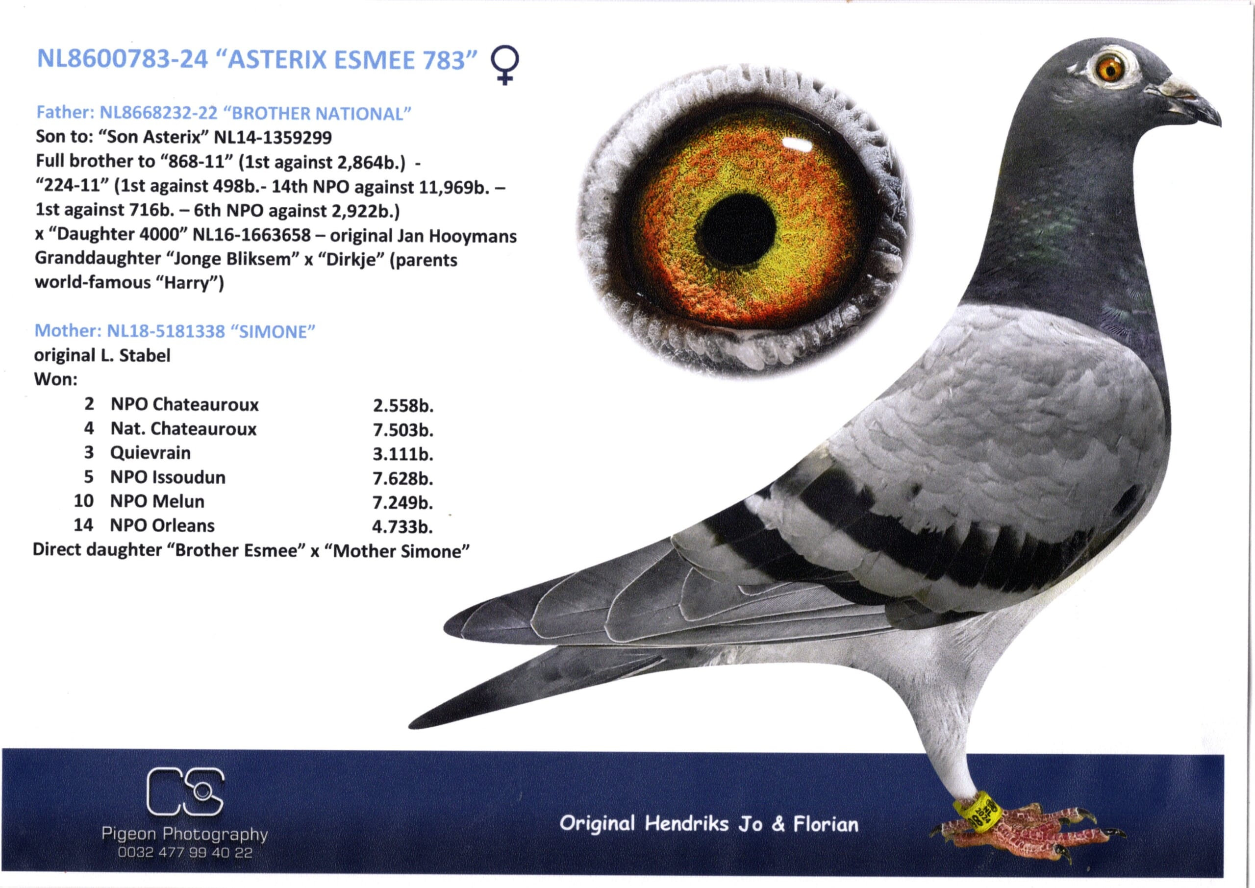 ヘンドリックス NL 8600783-24