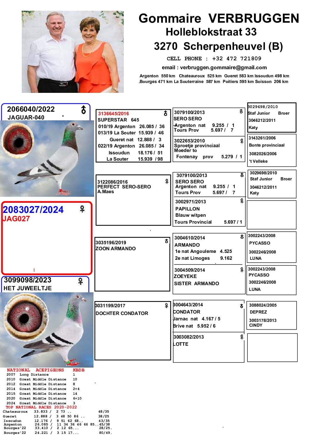 ゴメール・フェルブルッゲン 2083027-24 - 画像 (2)