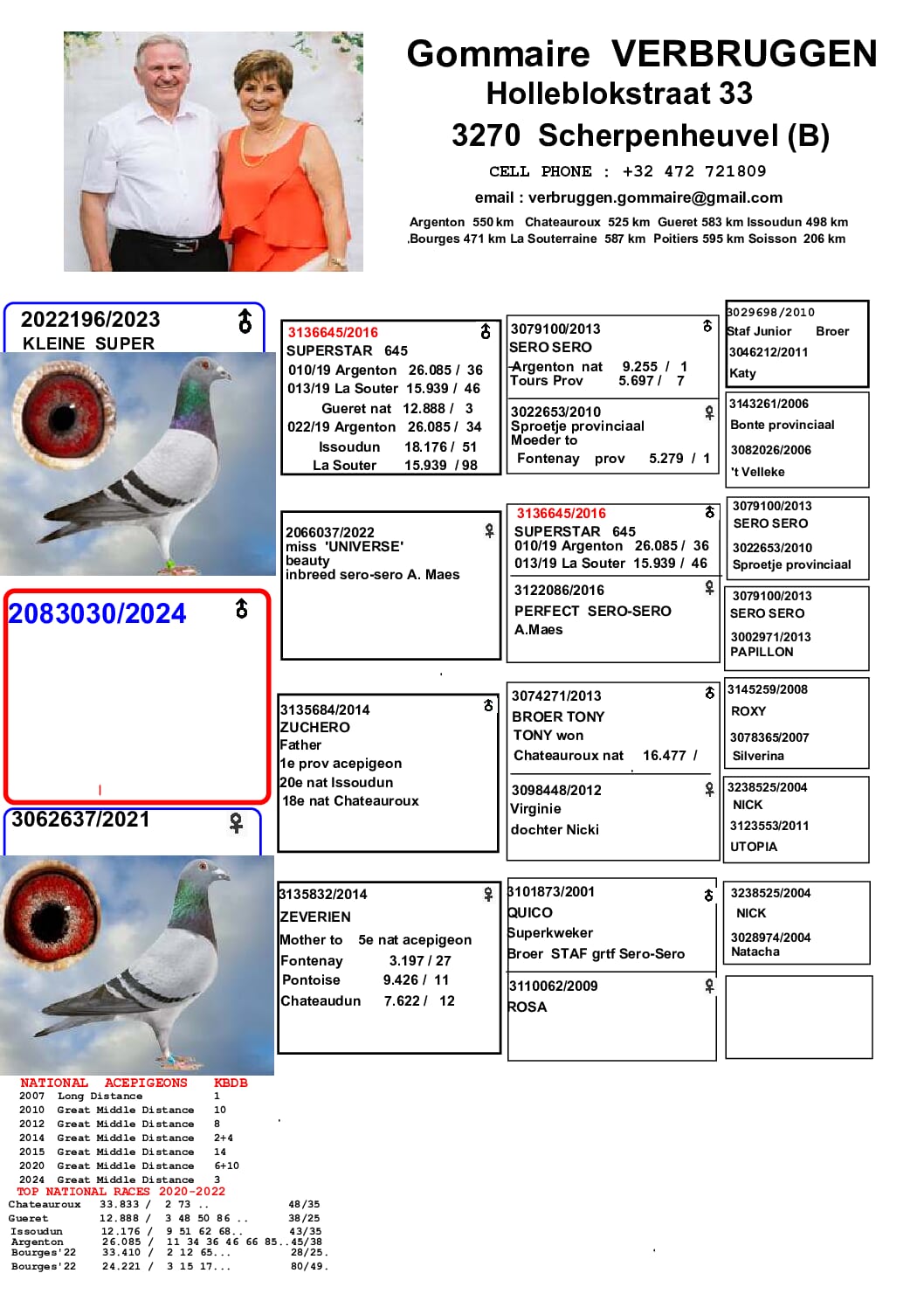 ゴメール・フェルブルッゲン 2083030-24 北野鳩舎種鳩 - 画像 (2)