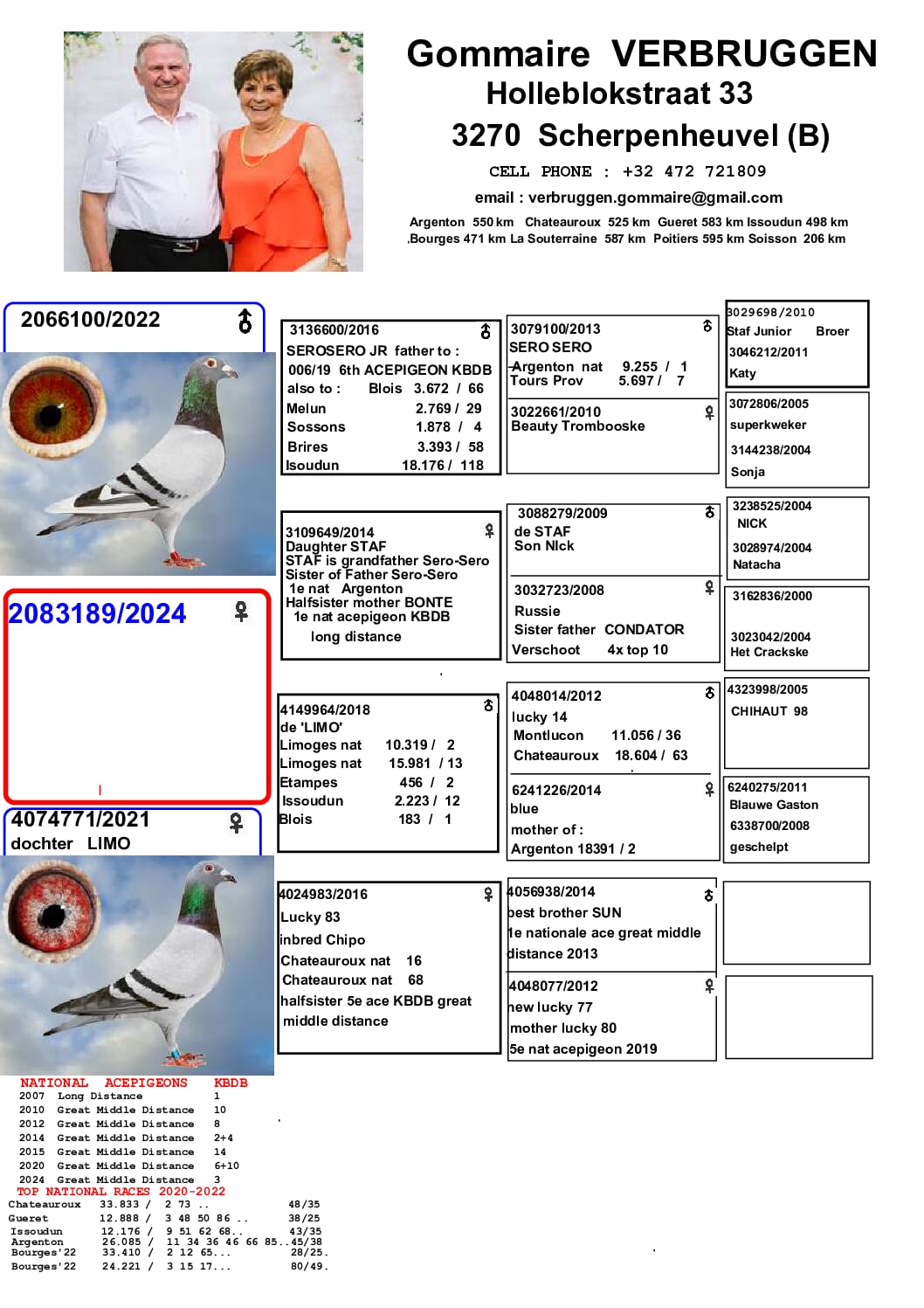 ゴメール・フェルブルッゲン 2083189-24 北野鳩舎種鳩 - 画像 (2)