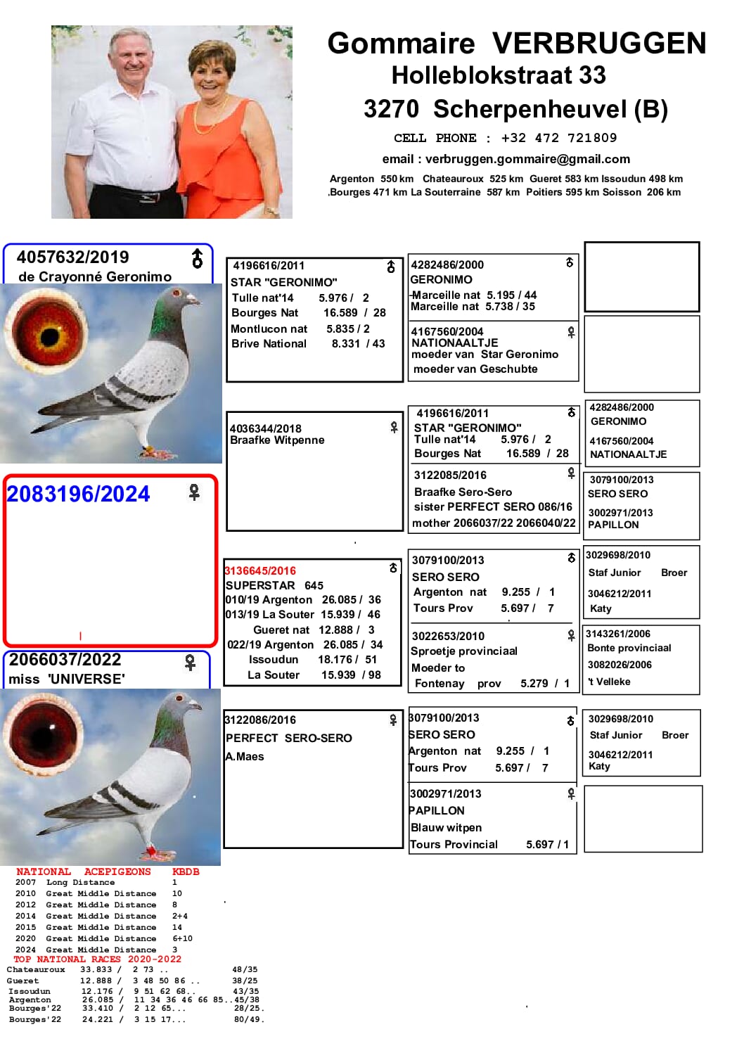 ゴメール・フェルブルッゲン 2083196-24 北野鳩舎種鳩 - 画像 (2)