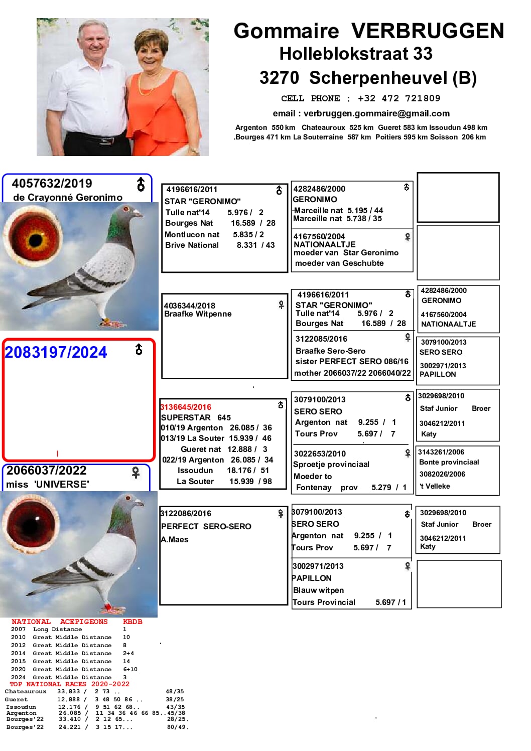 ゴメール・フェルブルッゲン 2083197-24 売切れ - 画像 (2)