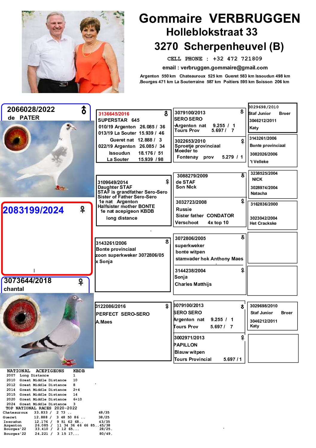 ゴメール・フェルブルッゲン 2083199-24 北野鳩舎種鳩 - 画像 (2)