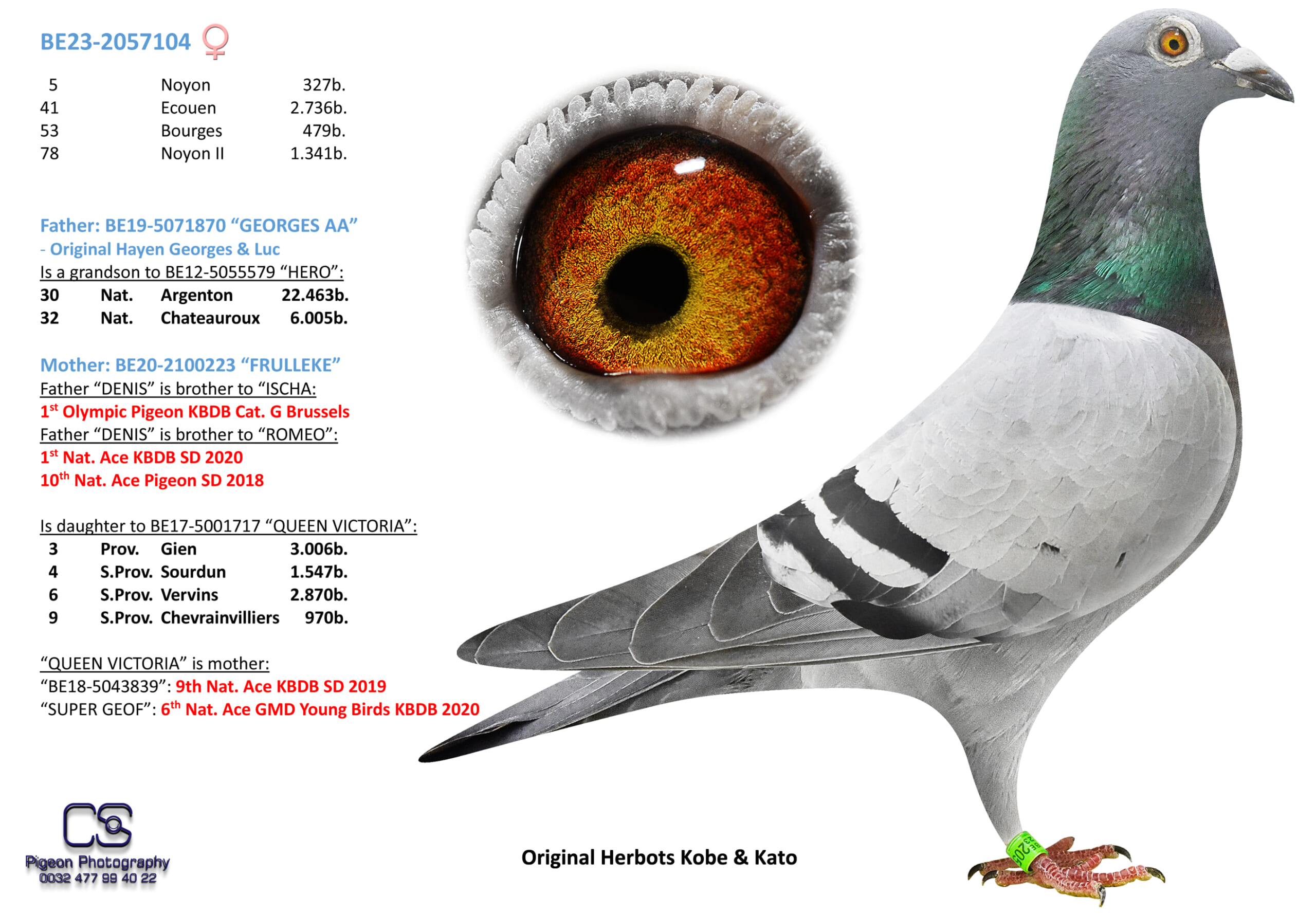 Herbots Kobe&Kato BE 2057104-23