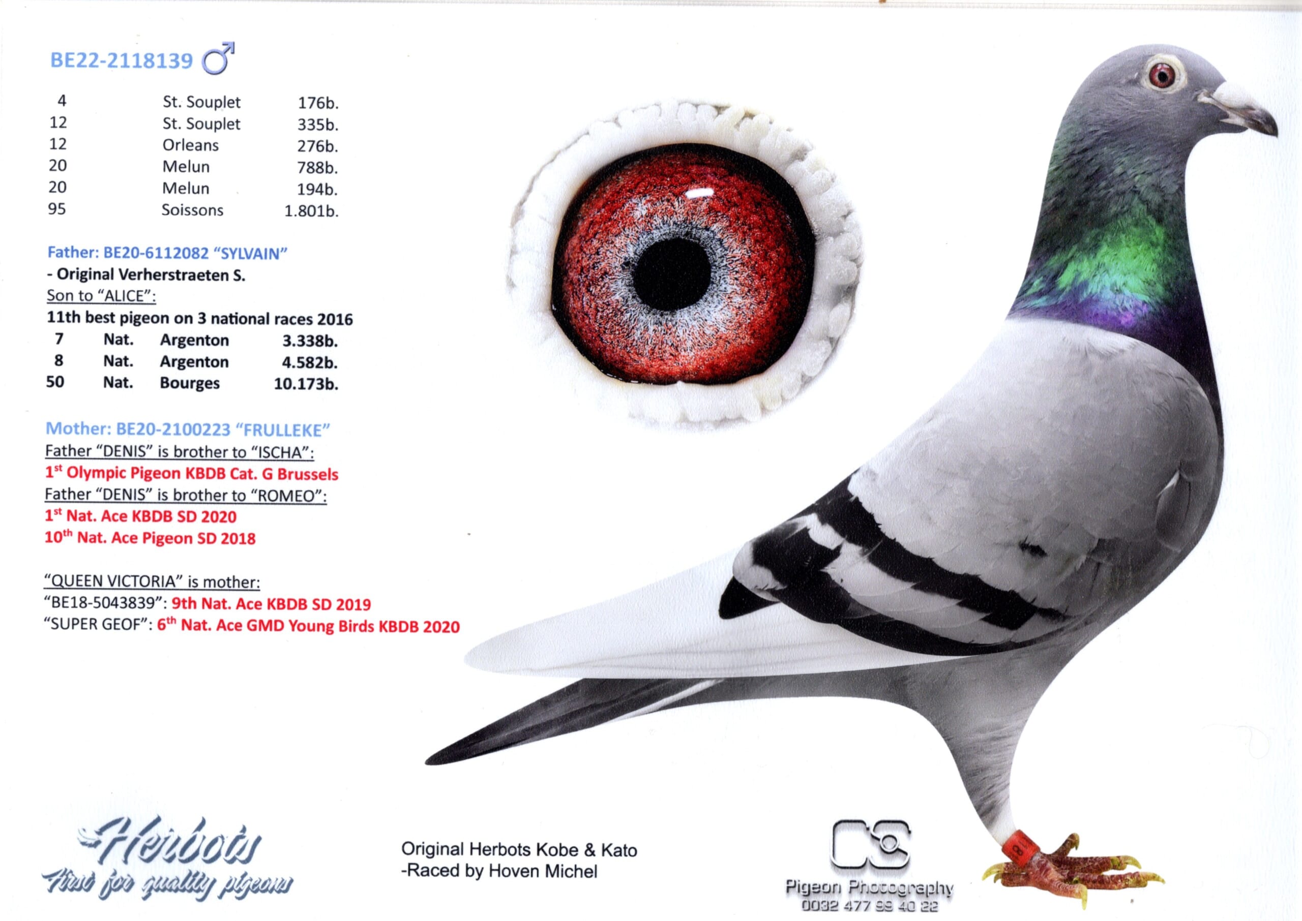 Herbots Kobe&Kato BE 2118139-22